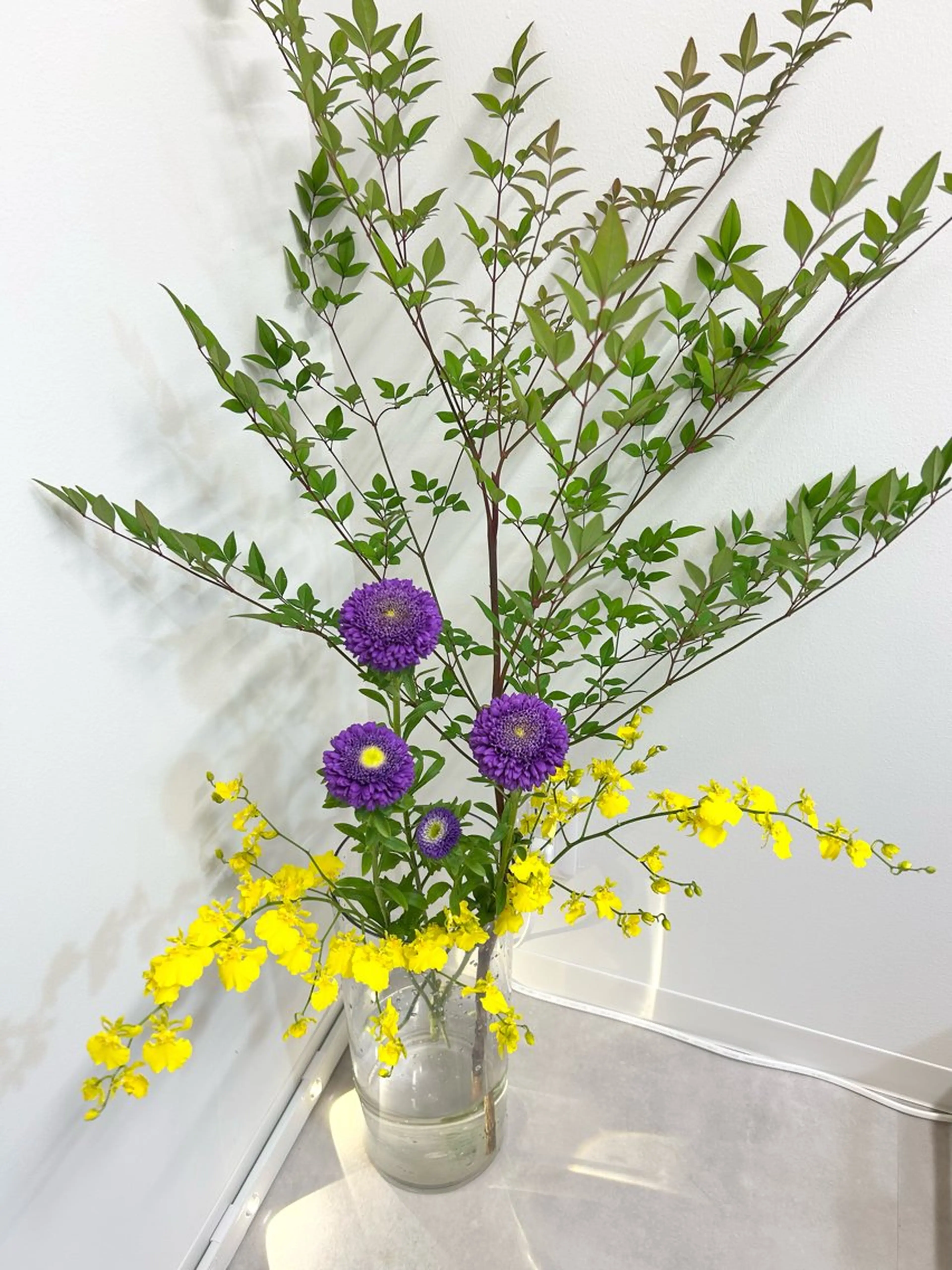 ネイル 透灯 TOUTOU 🪄のネイルデザイン