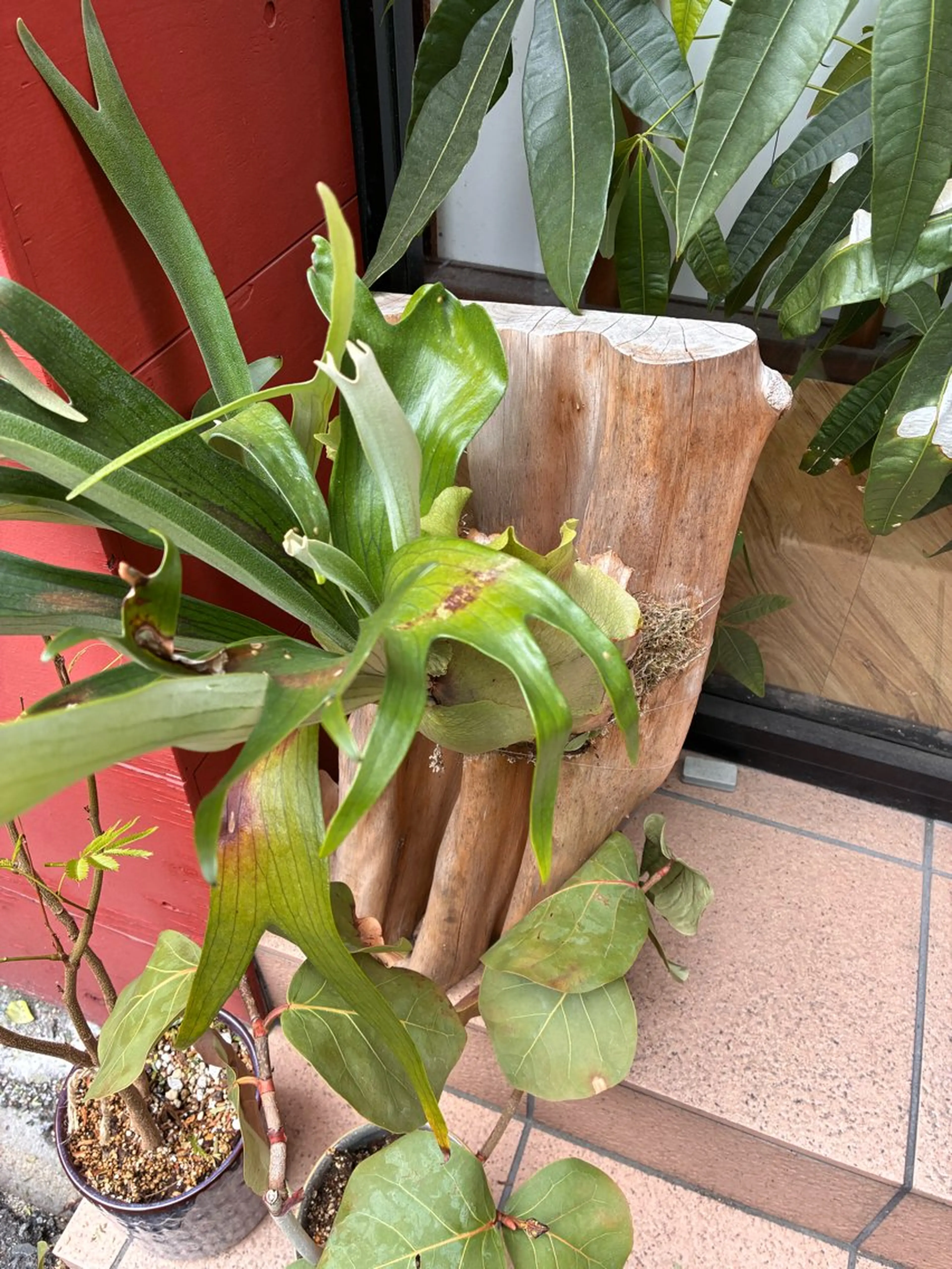 aien yuのマツエク・マツパデザイン