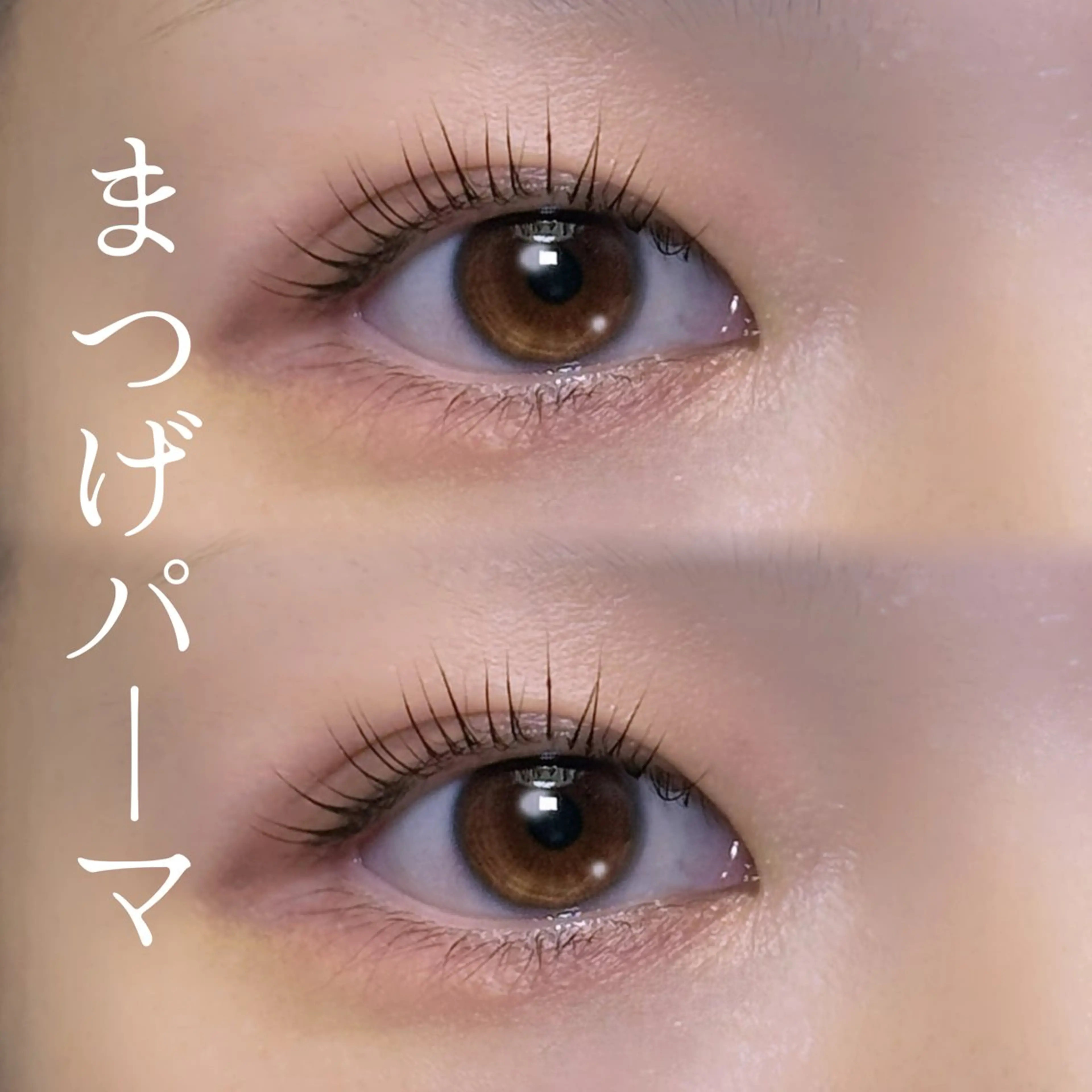 マツエク・マツパ ナチュラル パリジェンヌラッシュリフト まつげパーマ マツパ プライベートサロン 楚々のマツエク・マツパデザイン