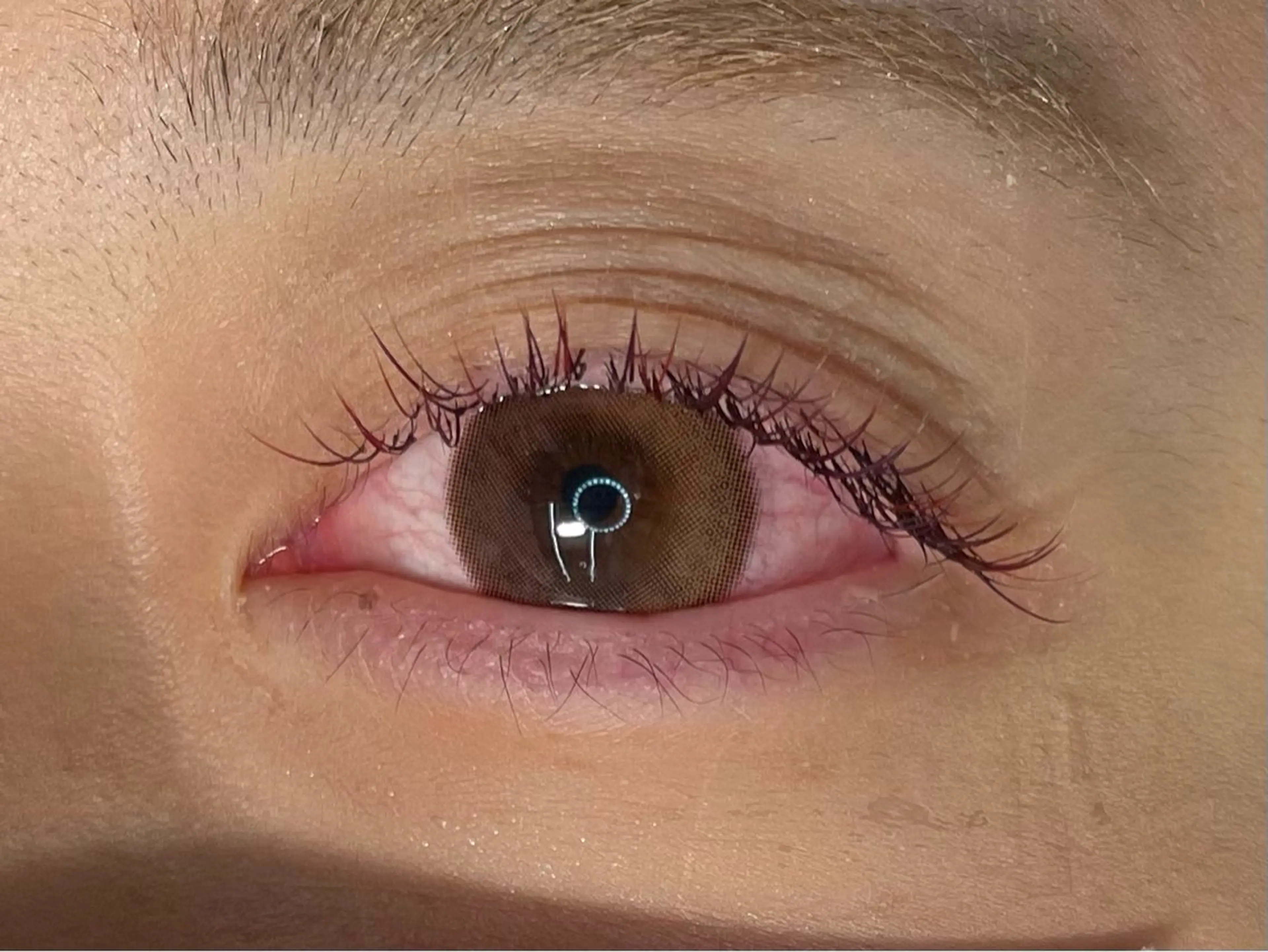 マツエク・マツパ マツエク Lukia MOMOのマツエク・マツパデザイン