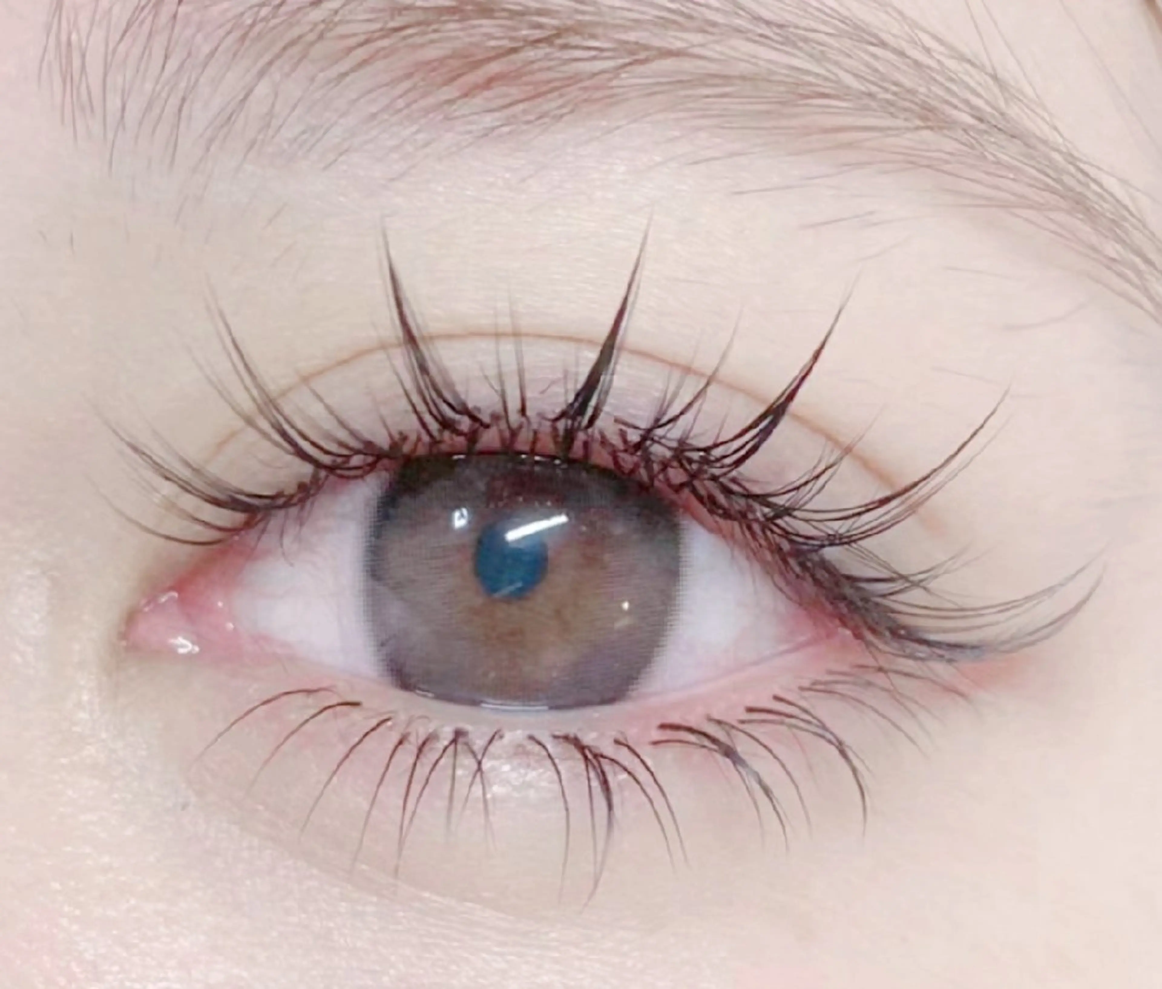 【オフ無料★ミニモSALE★大人気ワンホンマツエク】上100本&下30本¥12980→￥7500円の写真