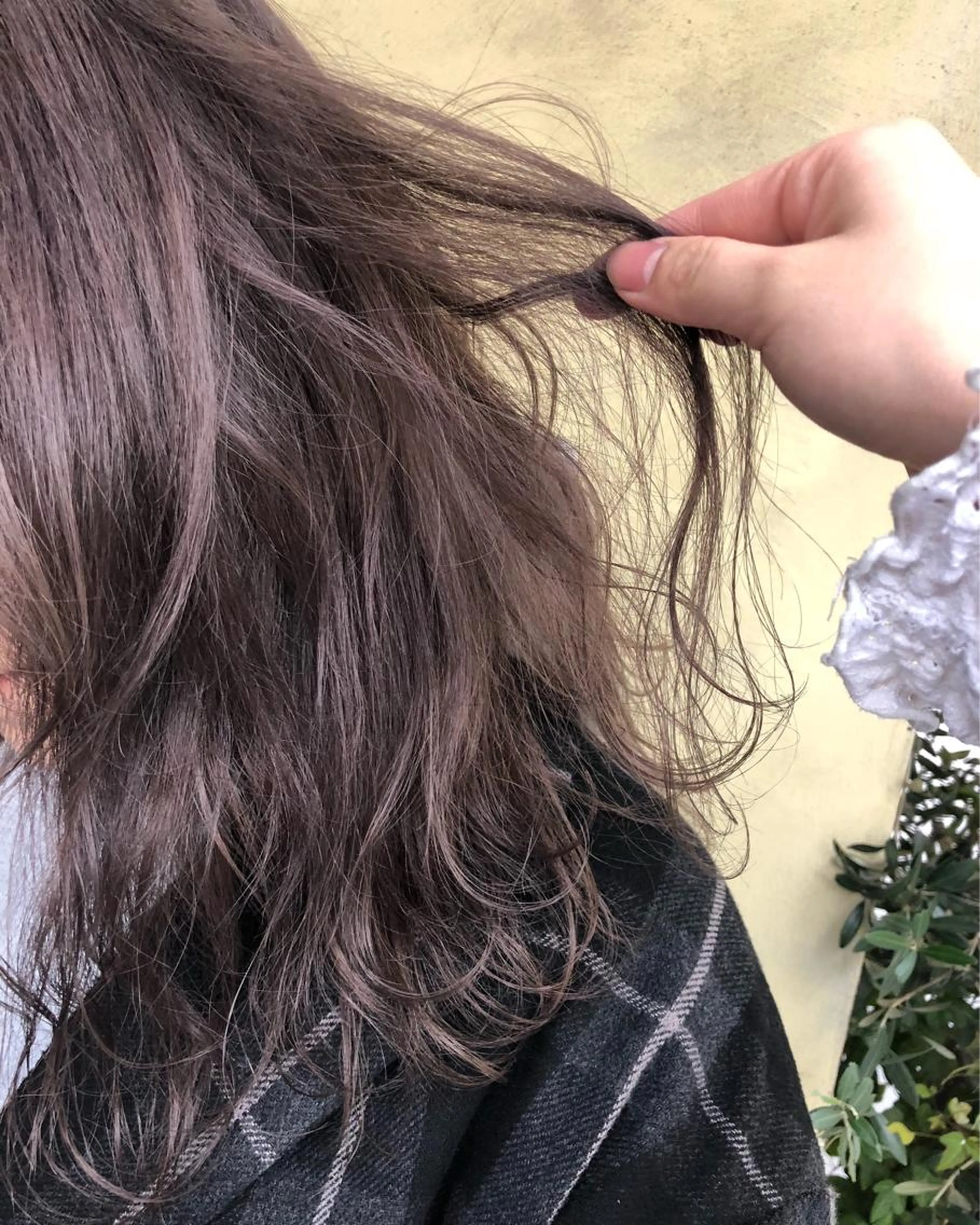 レディース限定！学生カットの写真