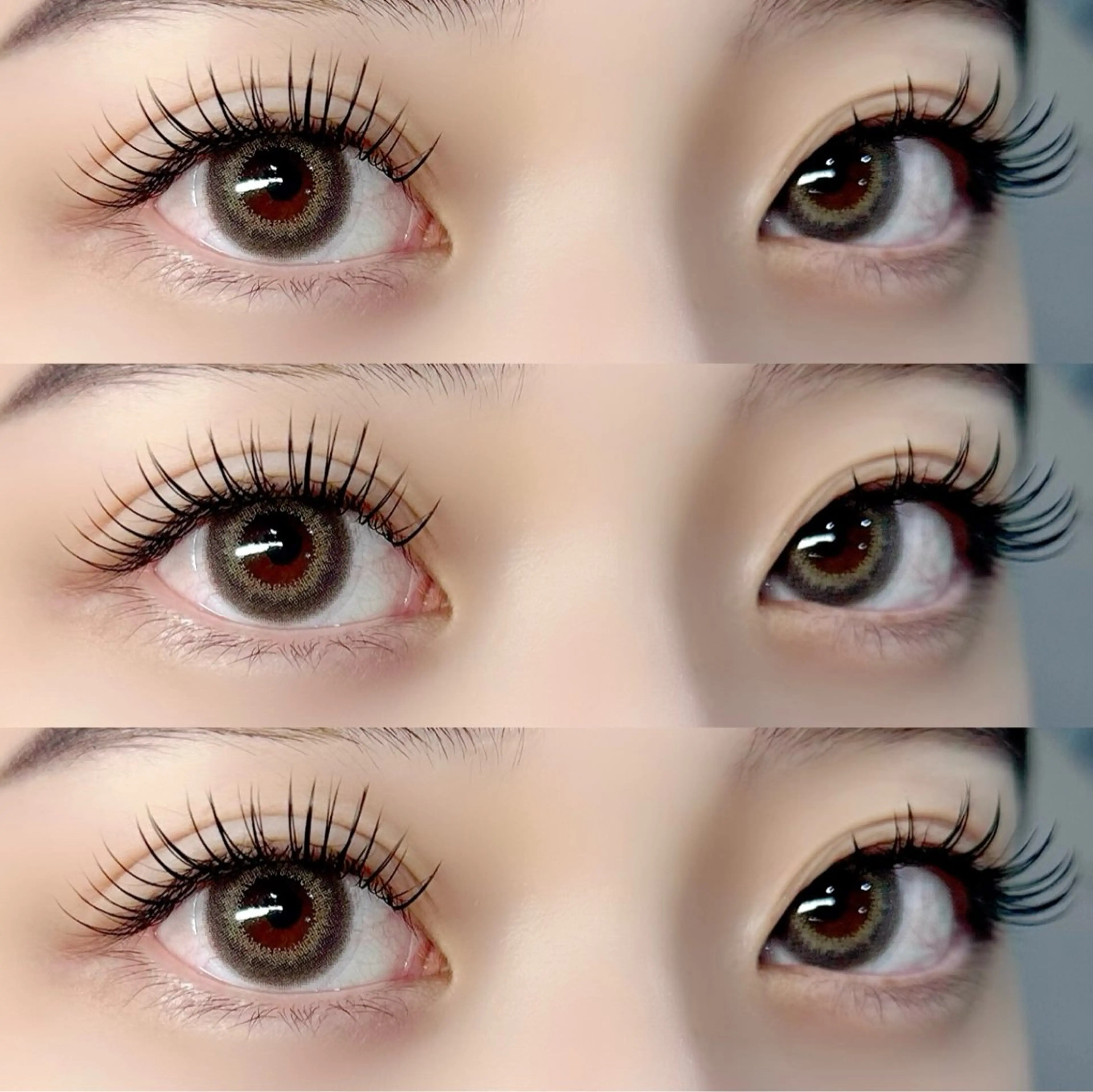 🌼ラッシュリフト×シングルエクステ100本🌼 長さ◎ボリューム◎角度◎全てが叶うメニュー🎶の写真