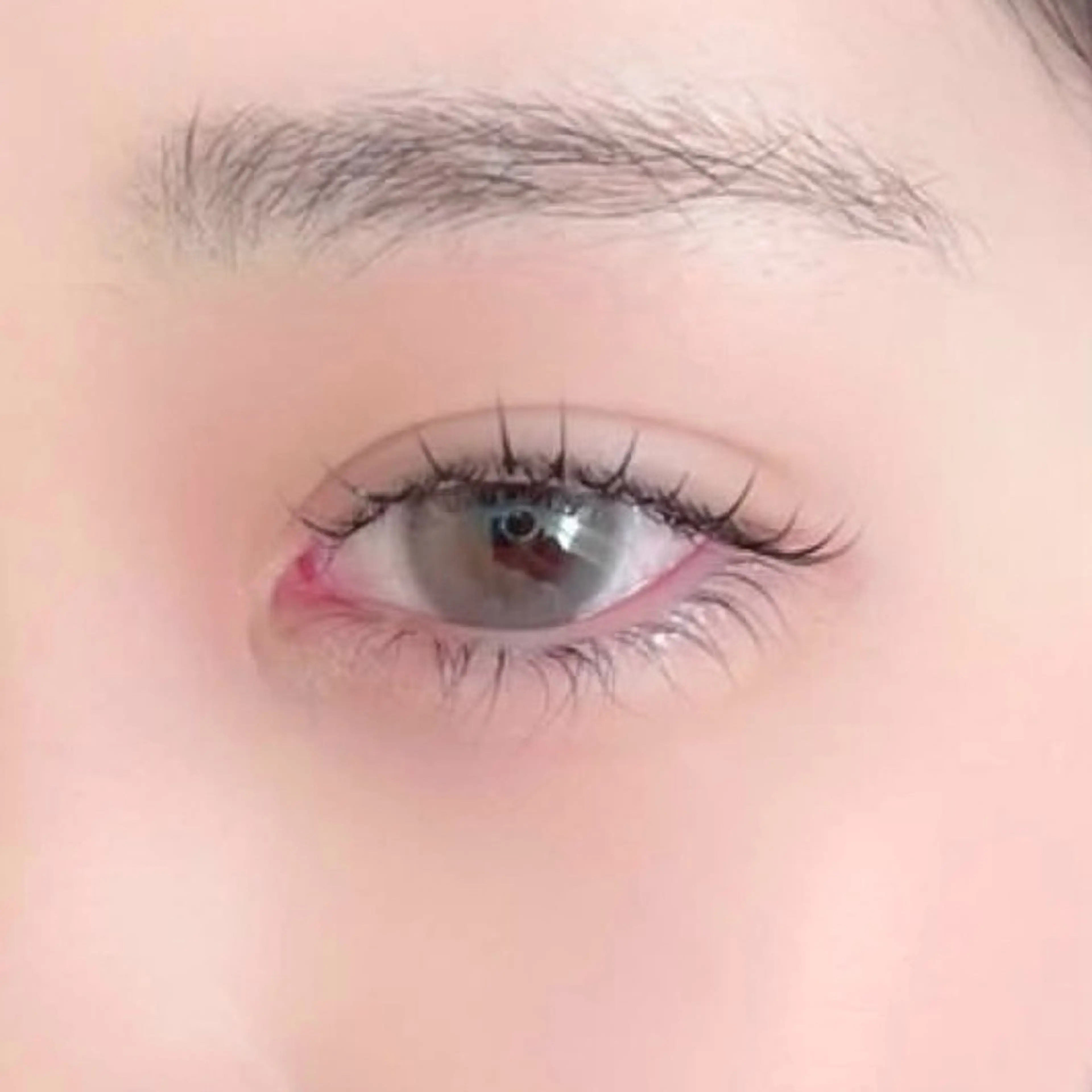 【4・5月限定💕】モデル価格🫧上下まつげパーマ＋高級コーティング🐇🎀の写真