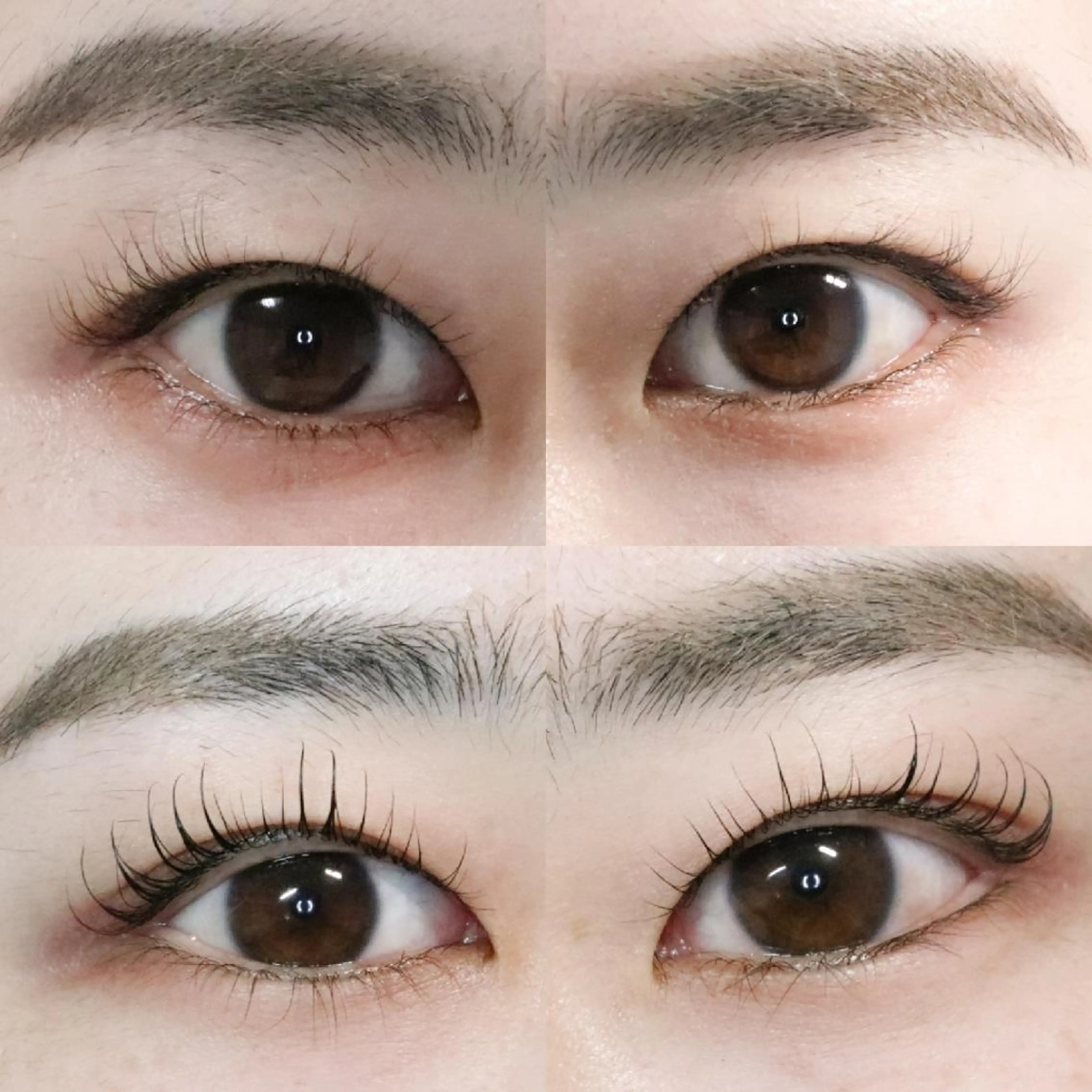 マツエク・マツパ 京都のまつげ桜日和 小島美桜のマツエク・マツパデザイン