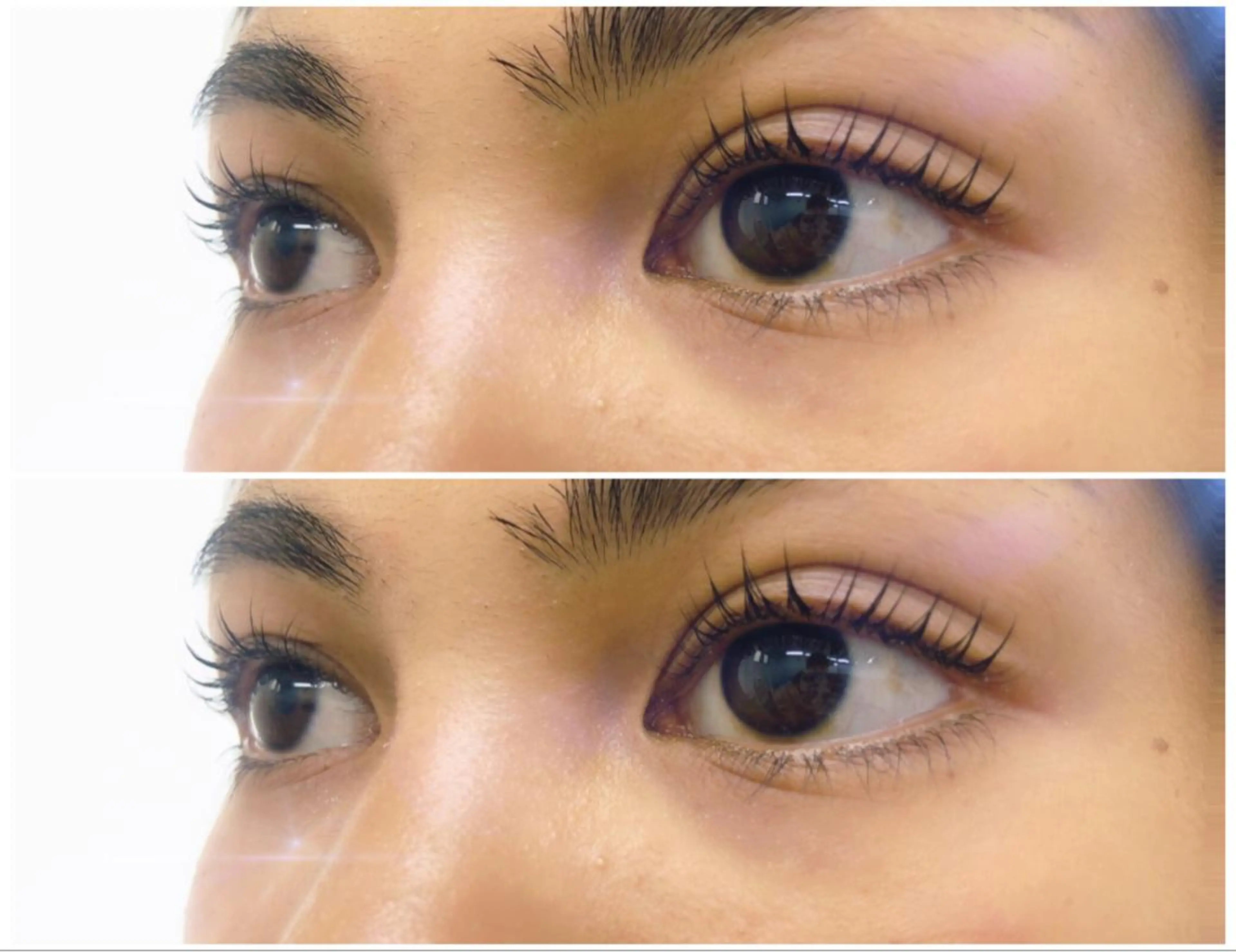 マツエク・マツパ Ladia 鎌田のマツエク・マツパデザイン