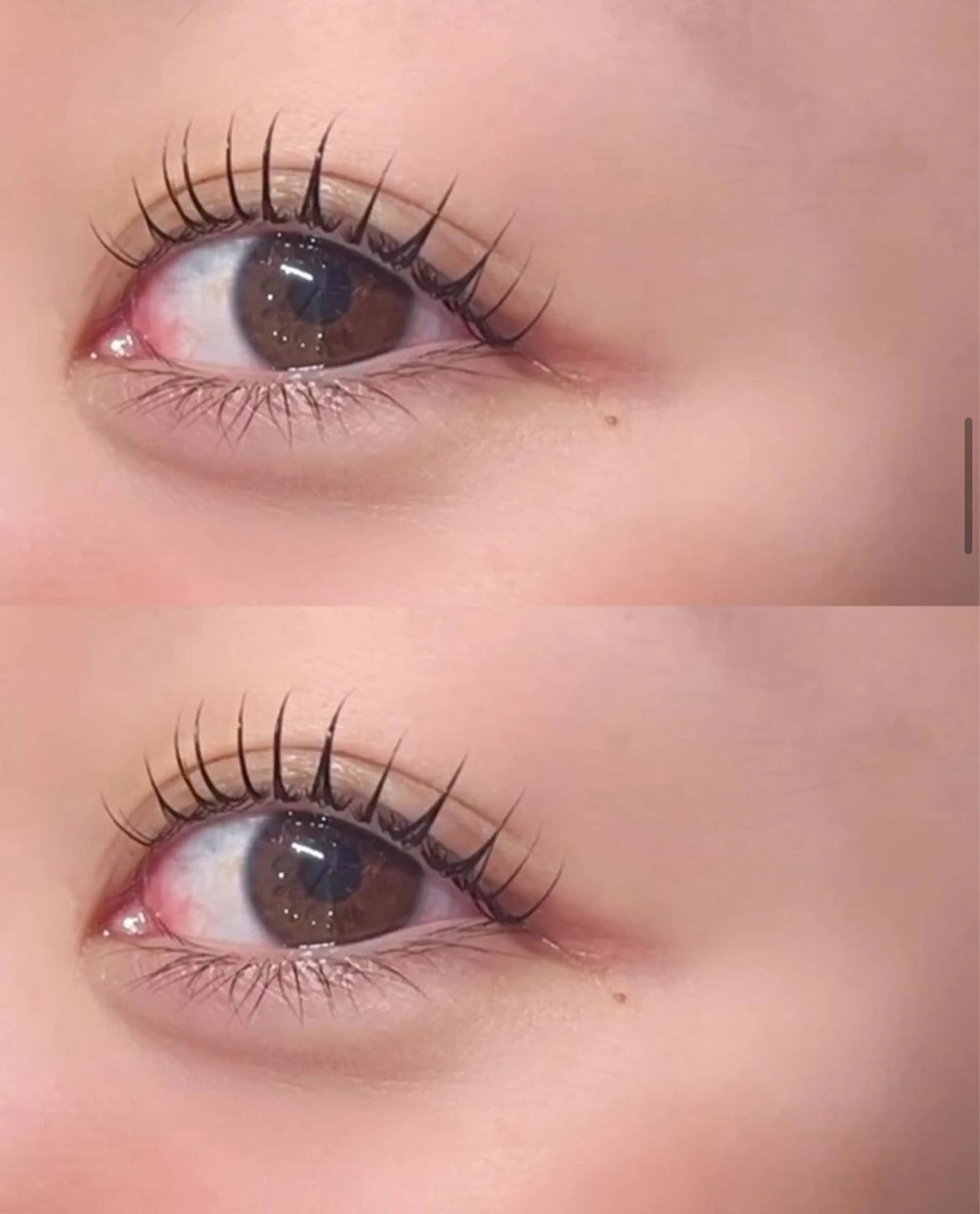 マツエク・マツパ 韓国風マツエク マツパ YUWA 【Taylor】のマツエク・マツパデザイン