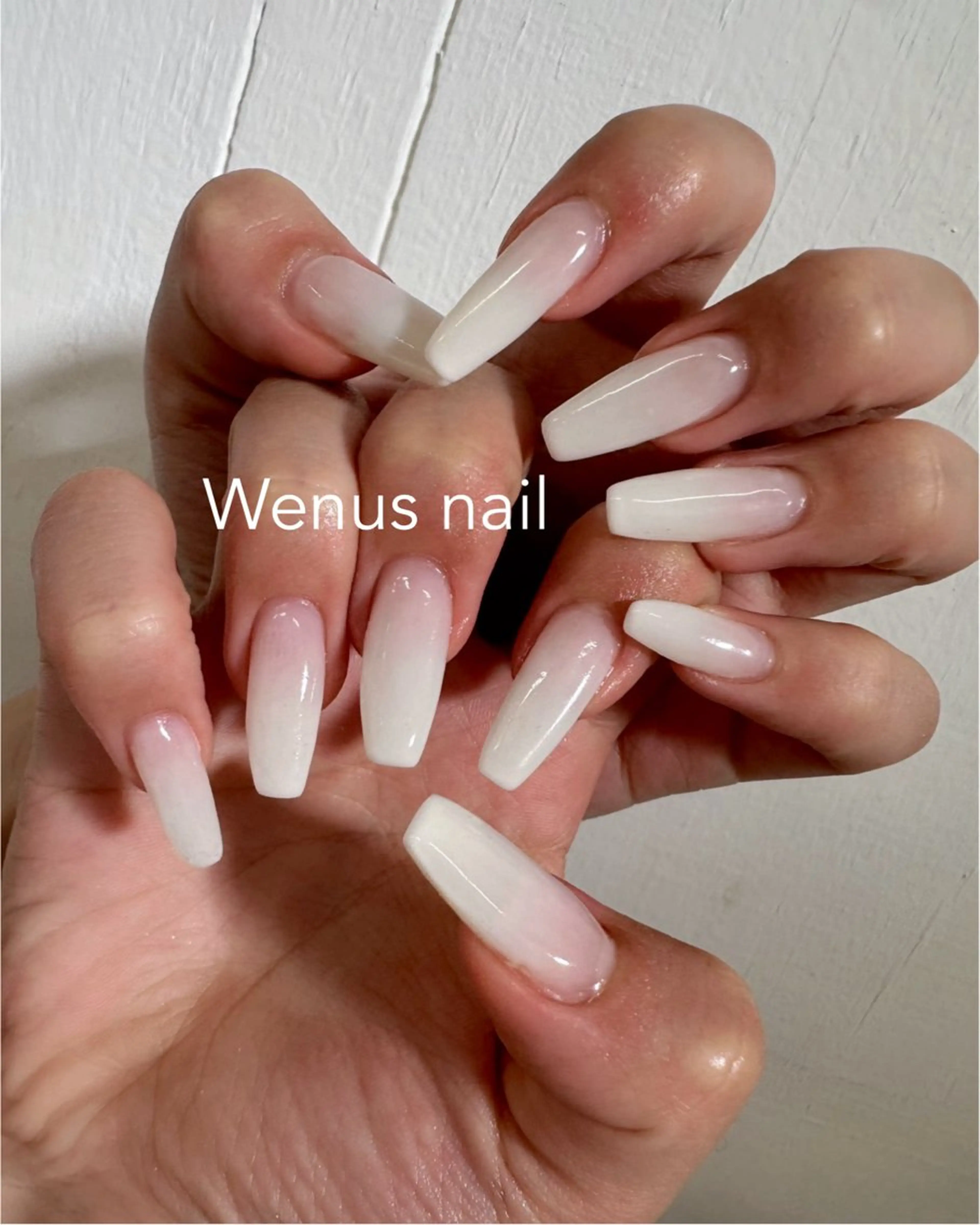 グラデーション(ﾗﾒｸﾞﾗﾃﾞも可)の写真