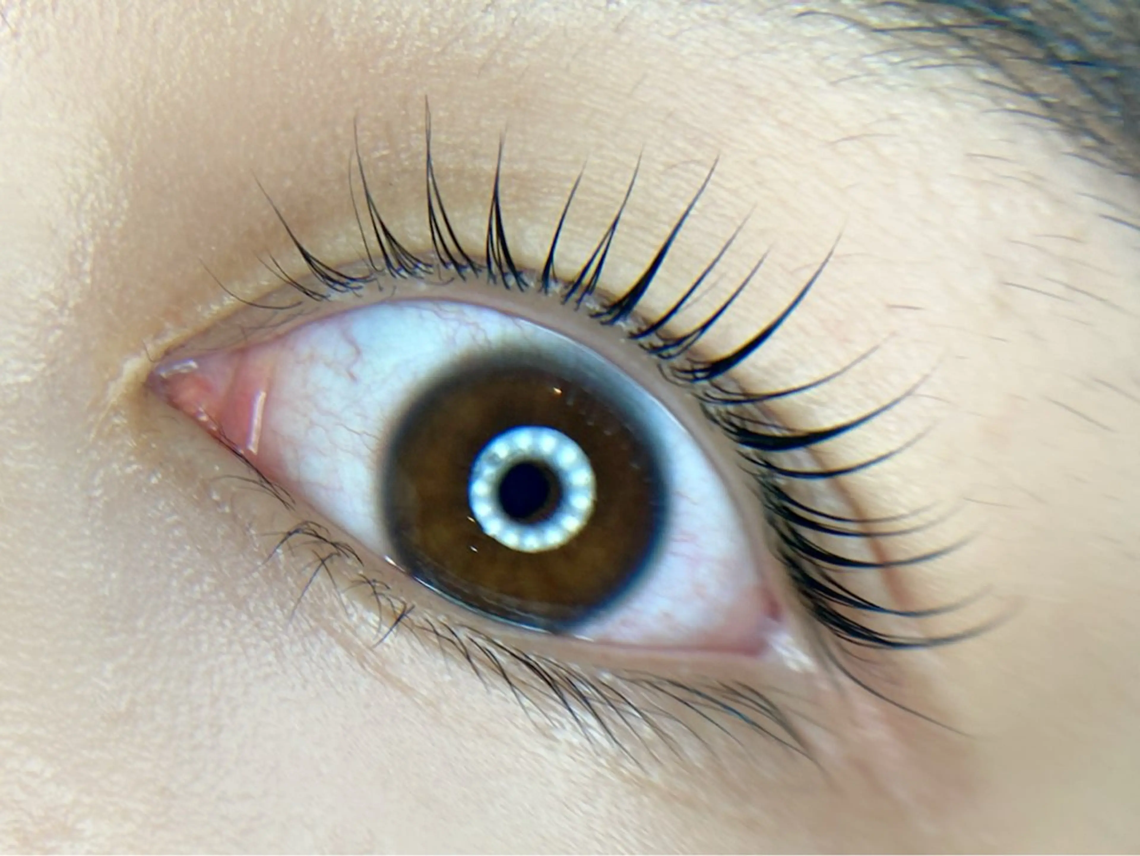 マツエク・マツパ マツパ tomte トムテのマツエク・マツパデザイン