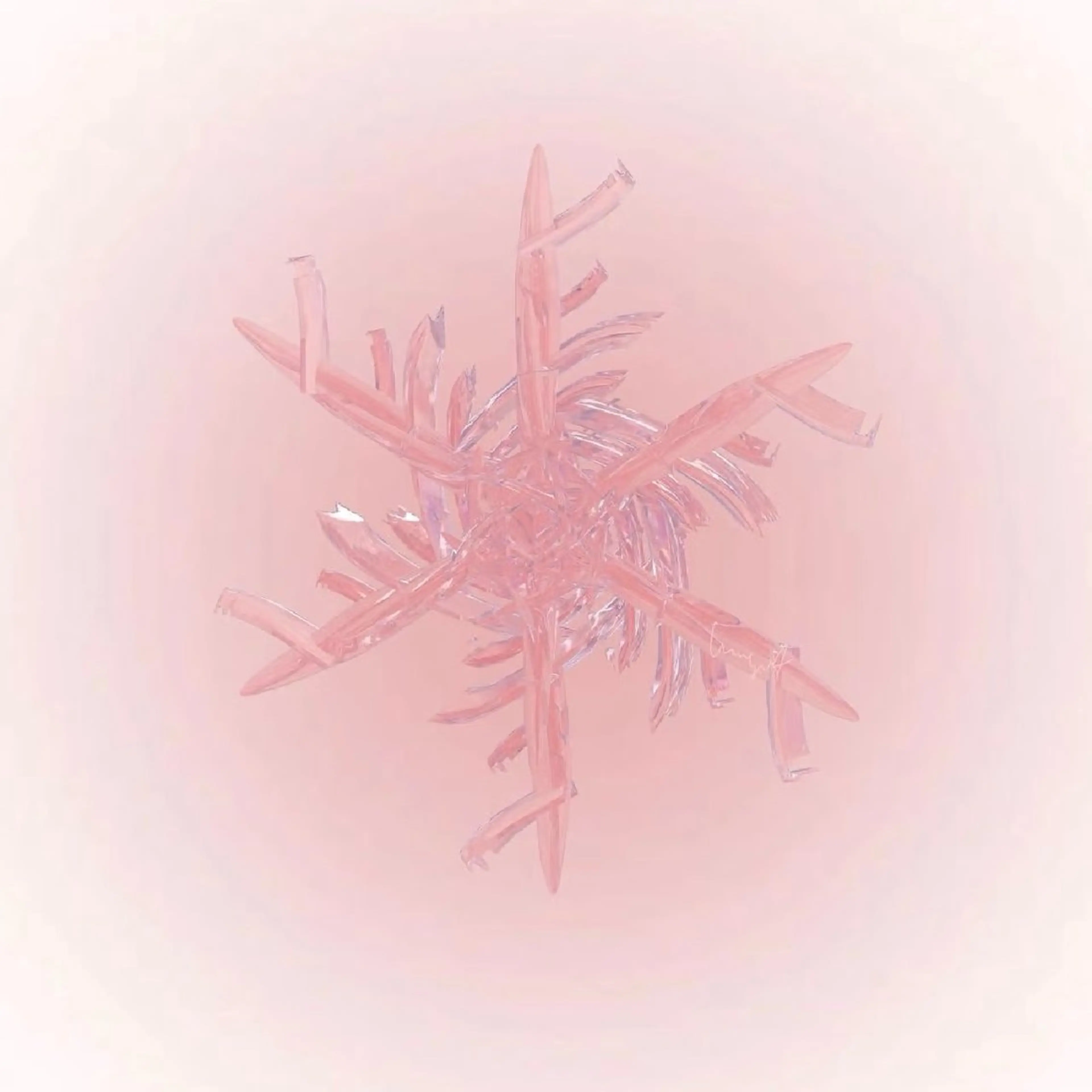 長さだしオフ¥3900の写真