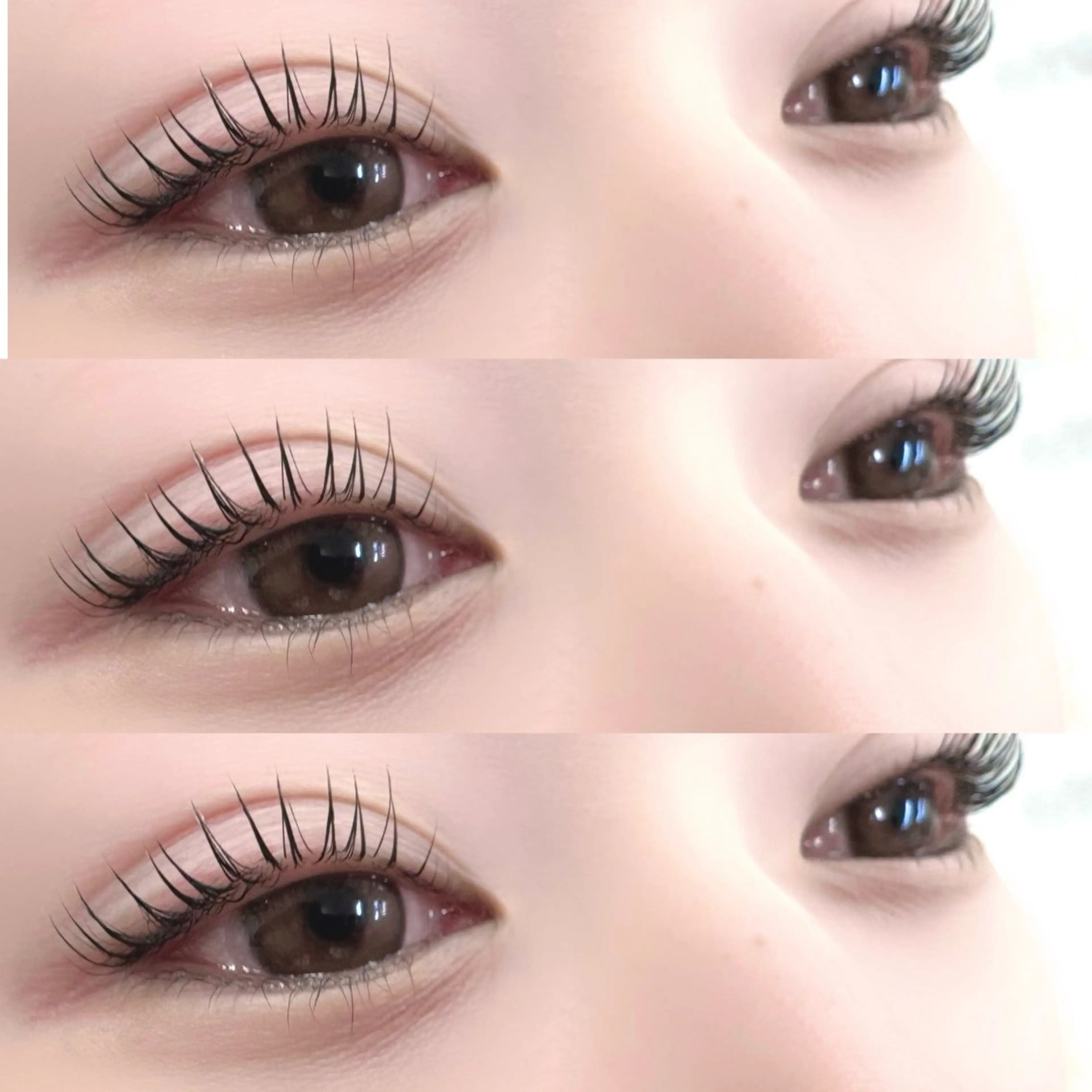 1日3名限定❕まつ毛パーマ上のみ¥3,000の写真