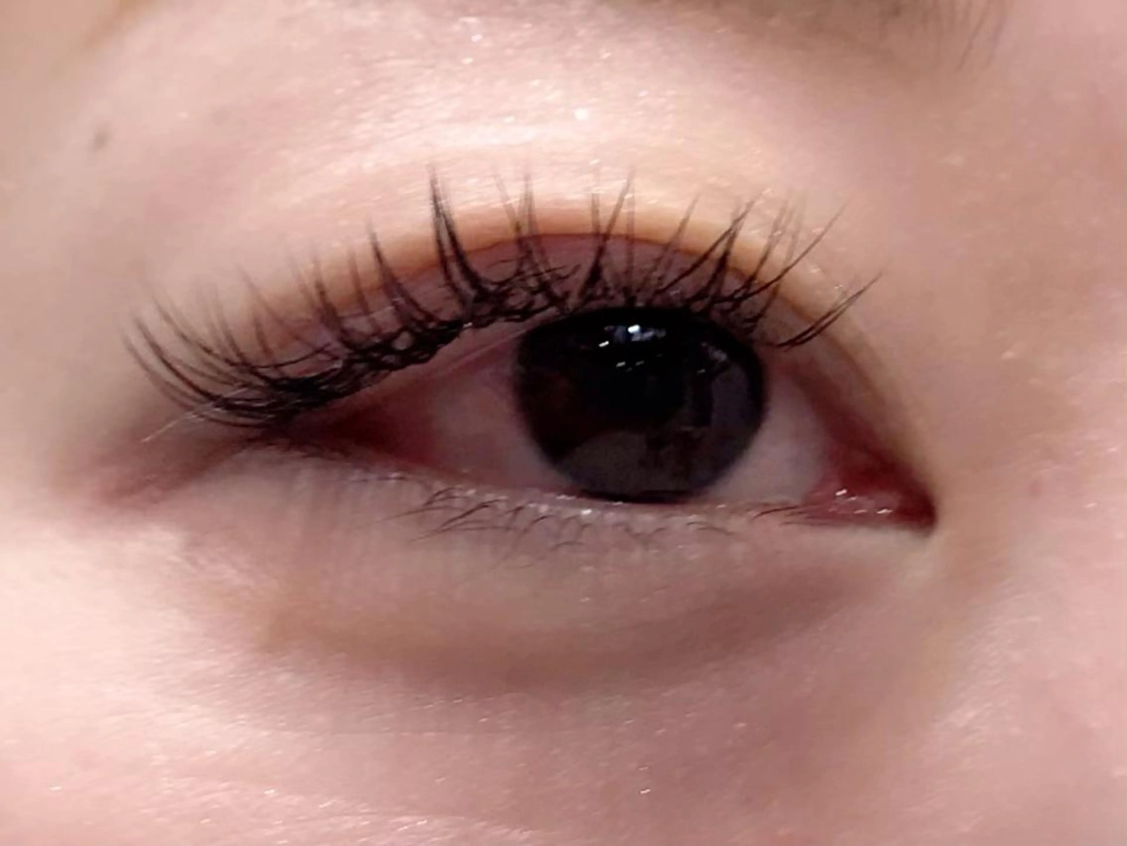 マツエク・マツパ 岡田詩織 MODE Ks松原店のヘアスタイル