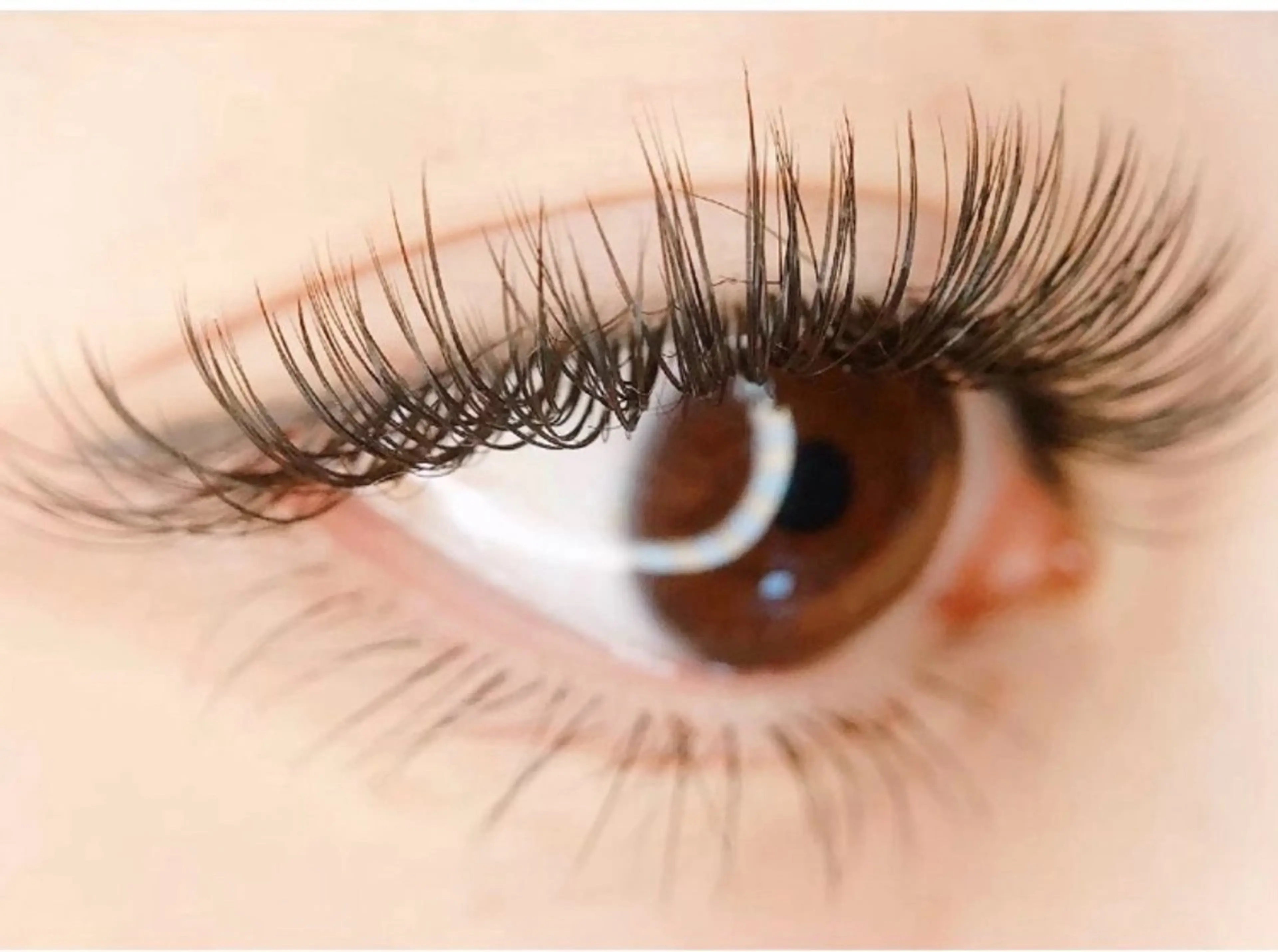 お試し♪　ダブルフラットラッシュ80束​〜​（アイパック/コーティング剤/オフ付き）の写真