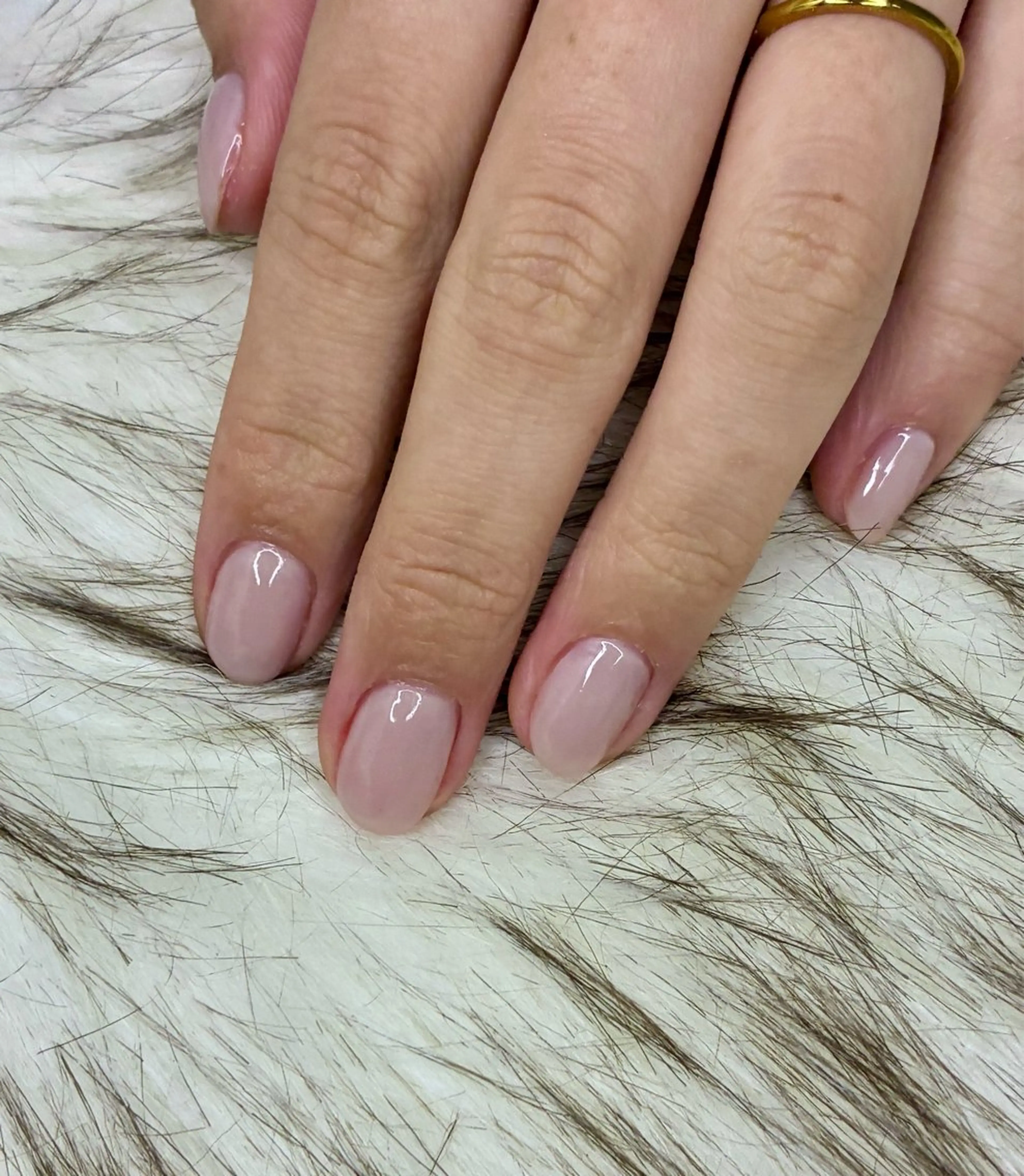 ワンカラーの写真