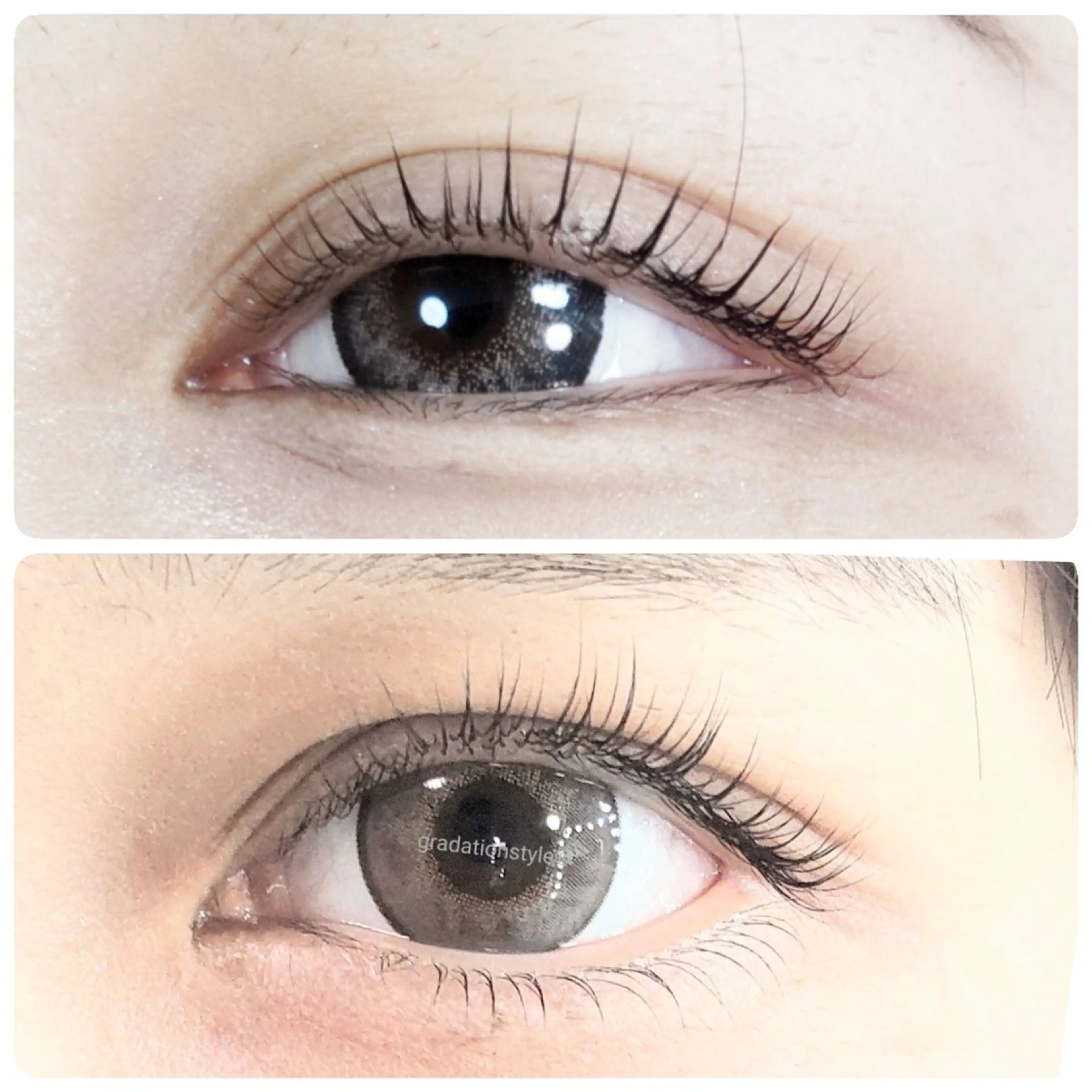 マツエク・マツパ 一重×まつ毛パーマ 🎼グラデーション スタイル札幌♫*⁠✧のマツエク・マツパデザイン