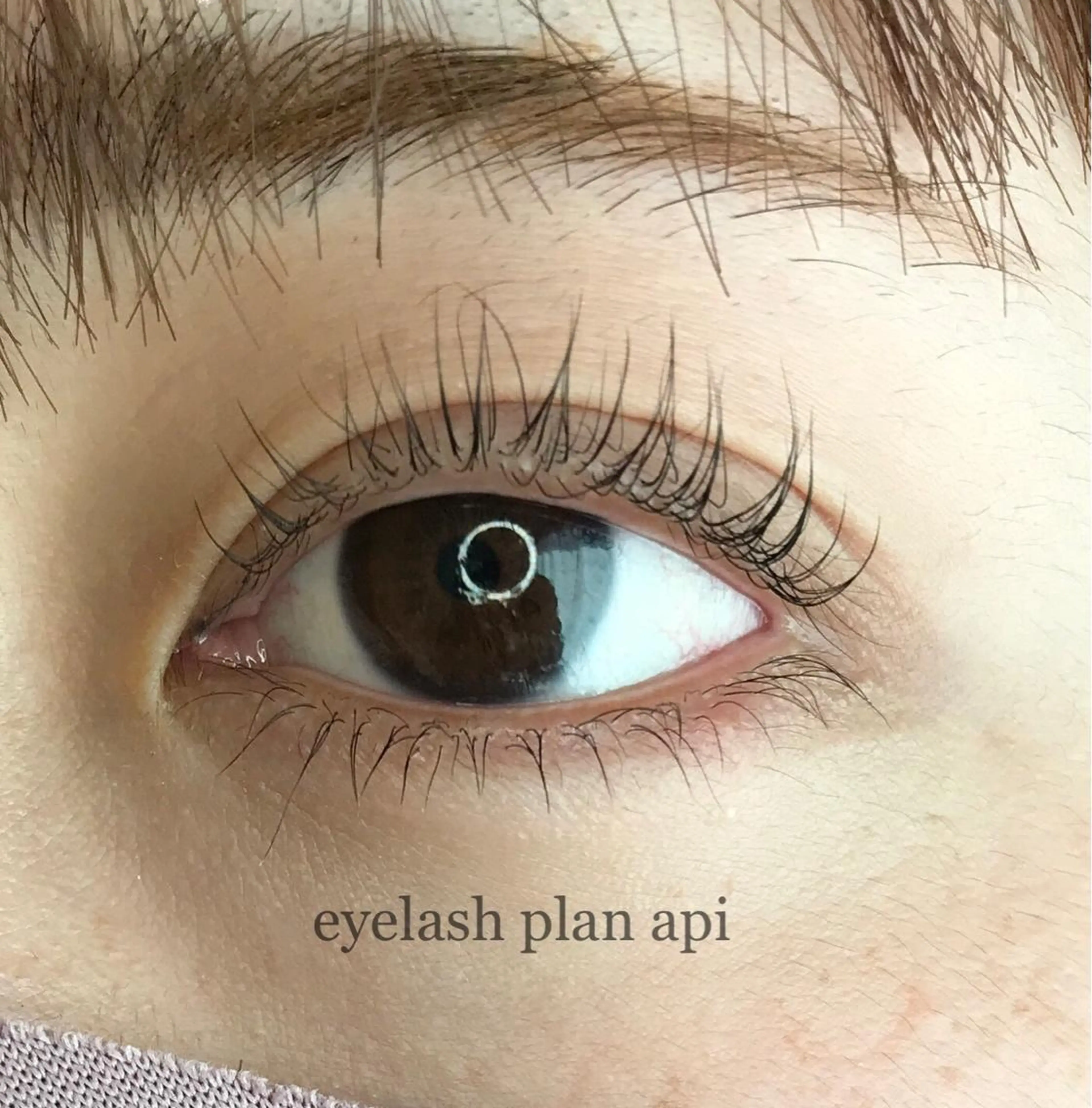 マツエク・マツパ 《eyelash ｉｉｔｅ》森のマツエク・マツパデザイン