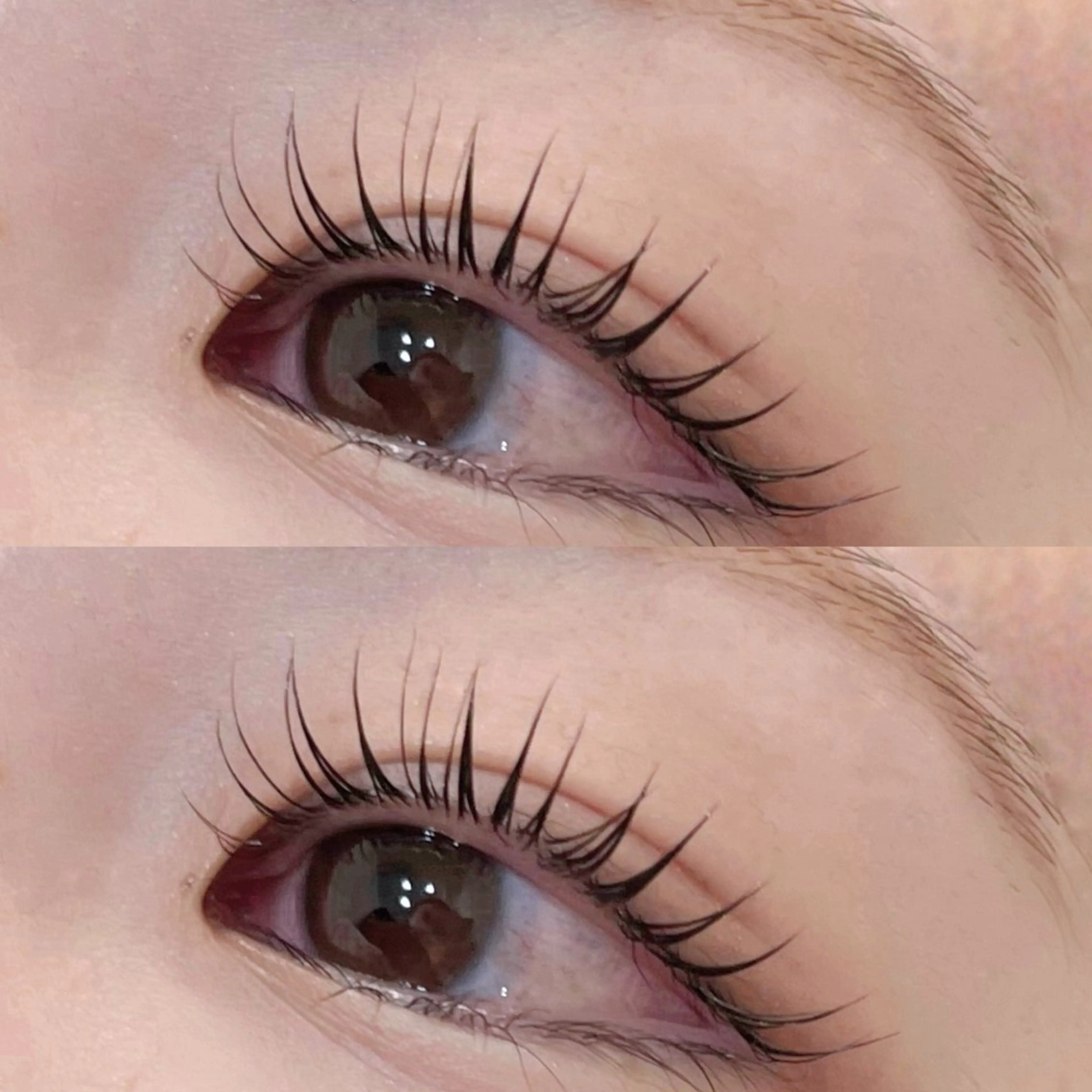 マツエク・マツパ マツパ coco / EYELAのマツエク・マツパデザイン