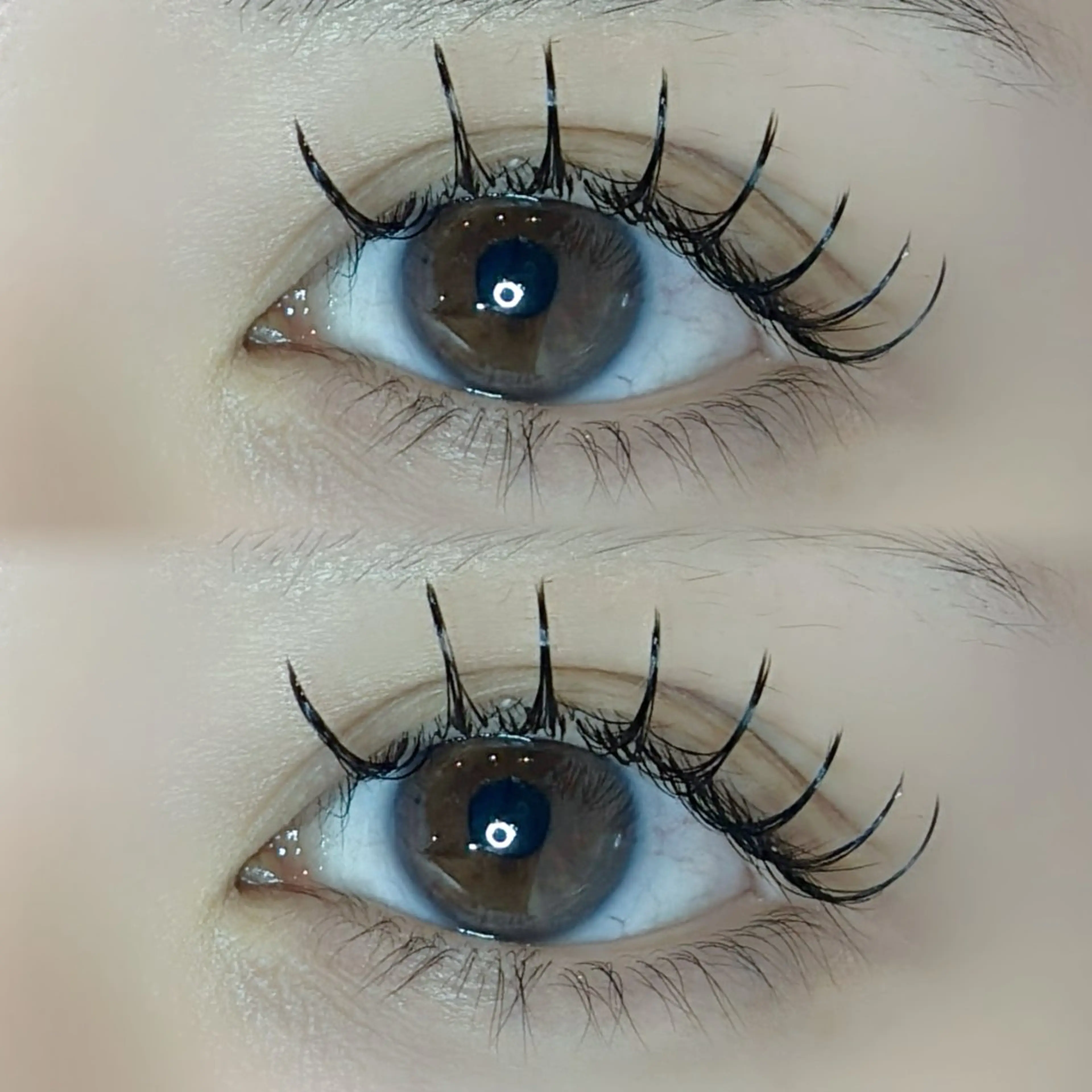 【オフあり♡】ダブルフラット80束(160本)💕の写真