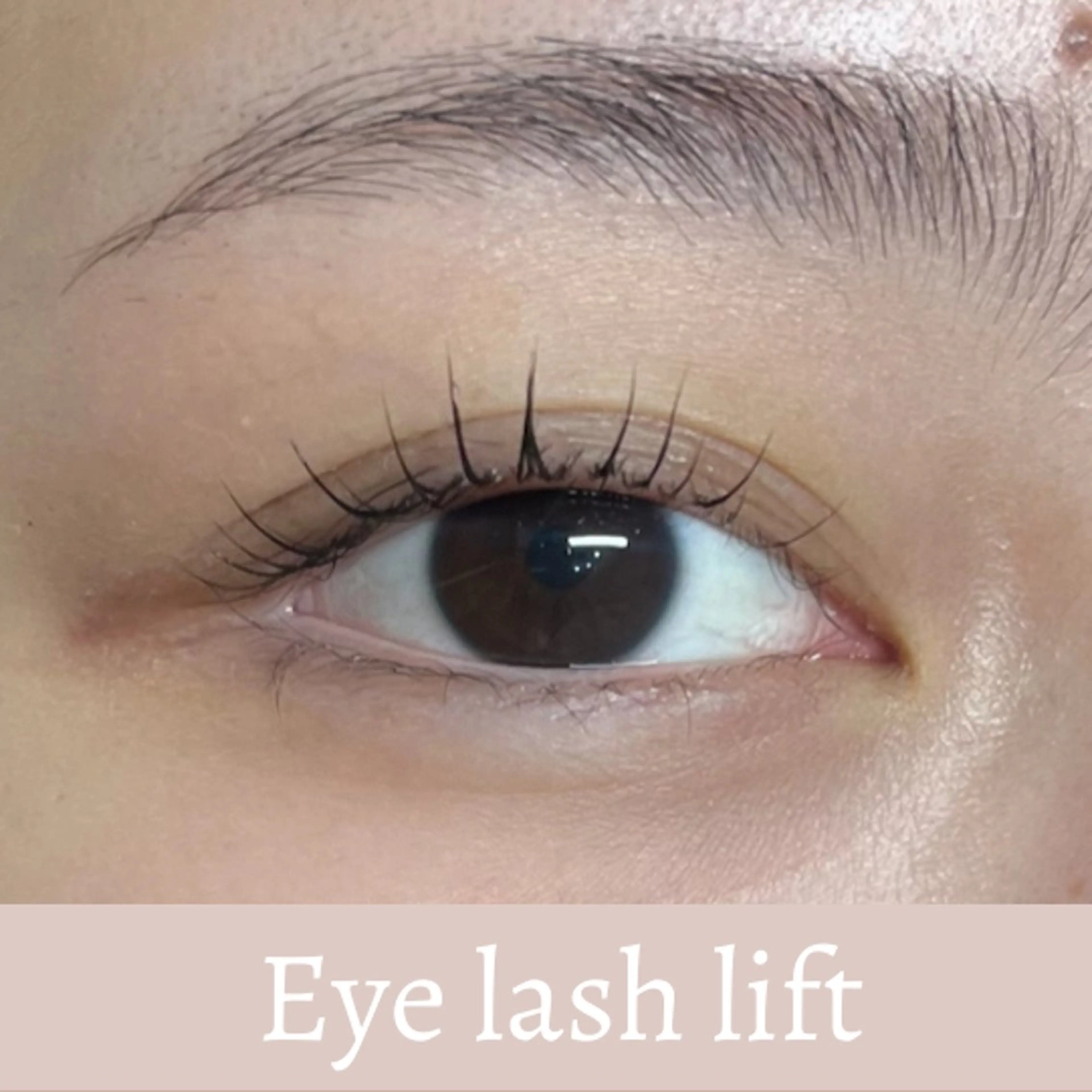 マツエク・マツパ MONDO AYUの眉毛・アイブロウイメージ