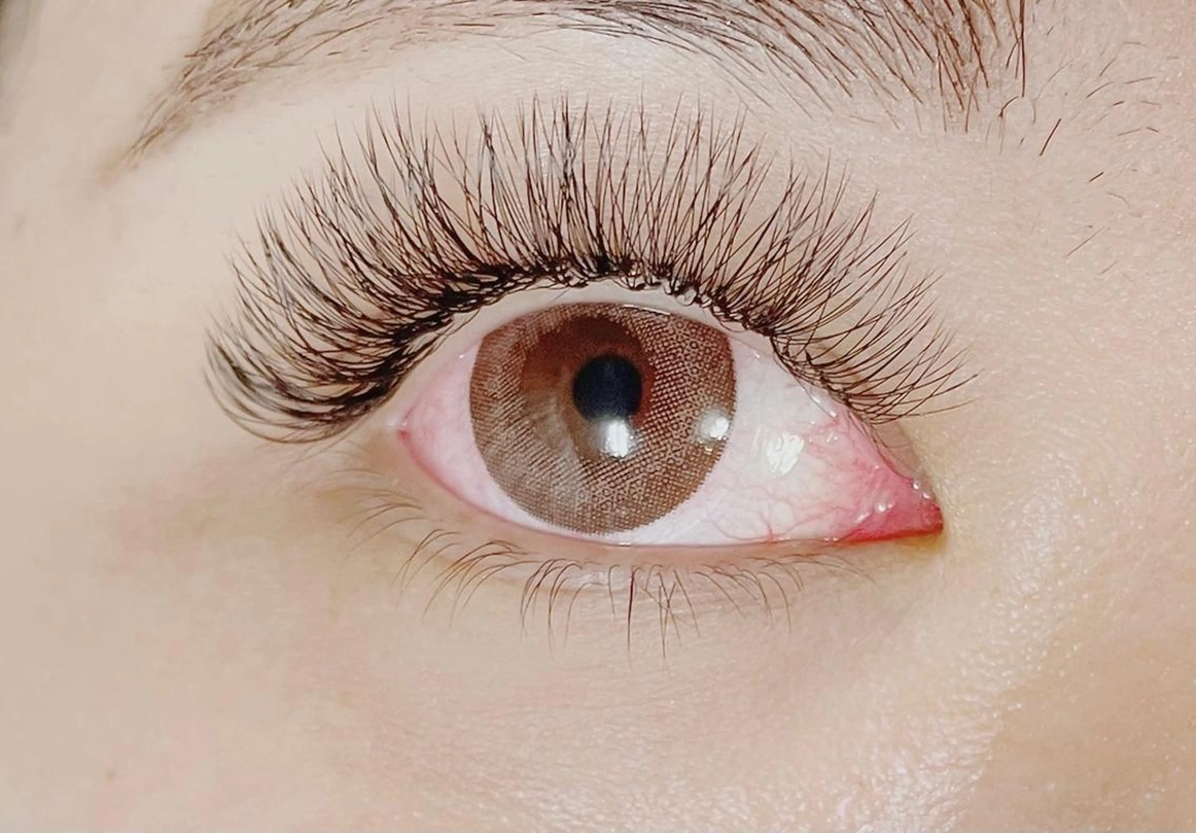 マツエク・マツパ Lotus. makoのエステ・リラクイメージ