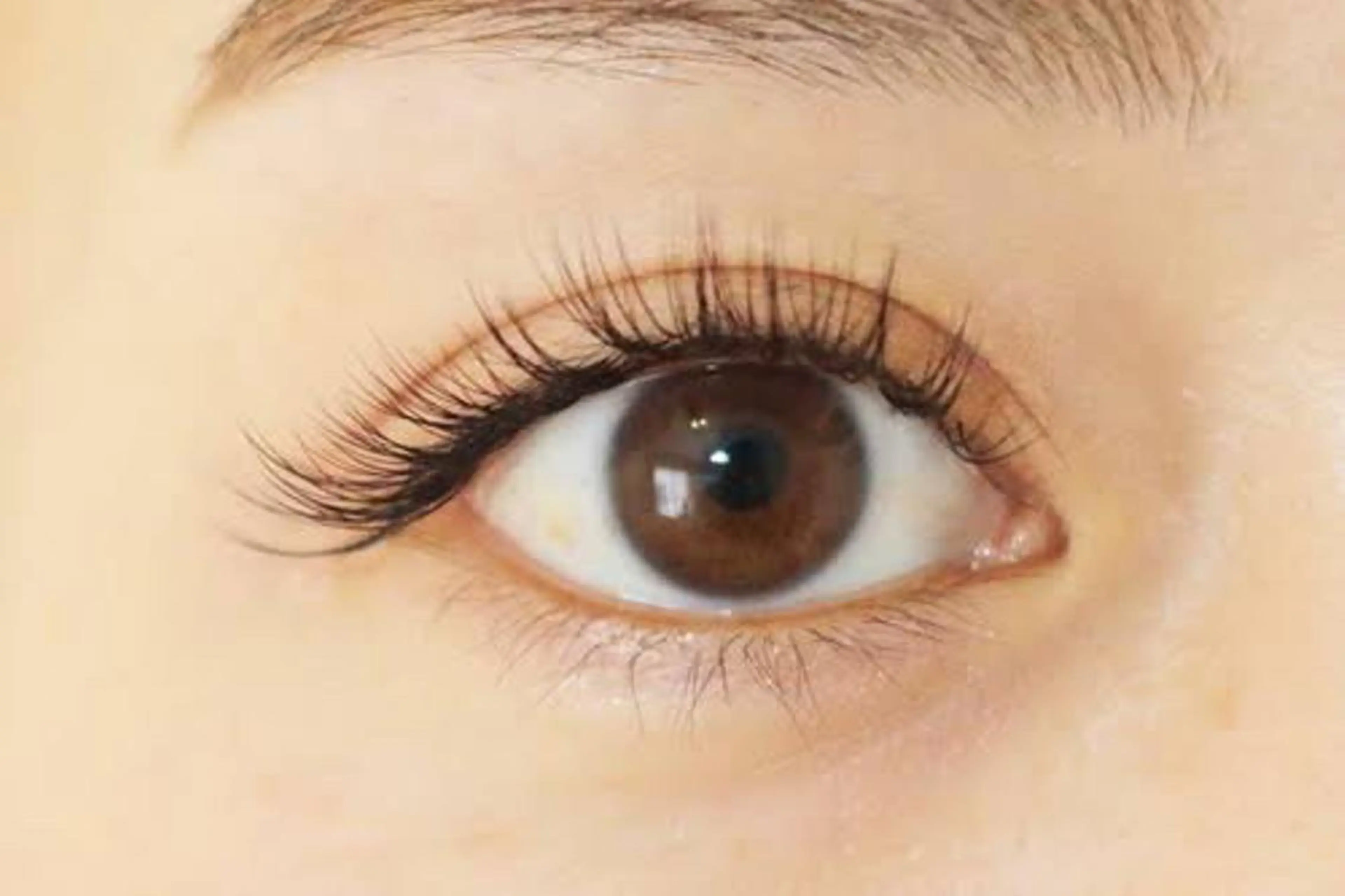 マツエク・マツパ 新枦 綾香のマツエク・マツパデザイン