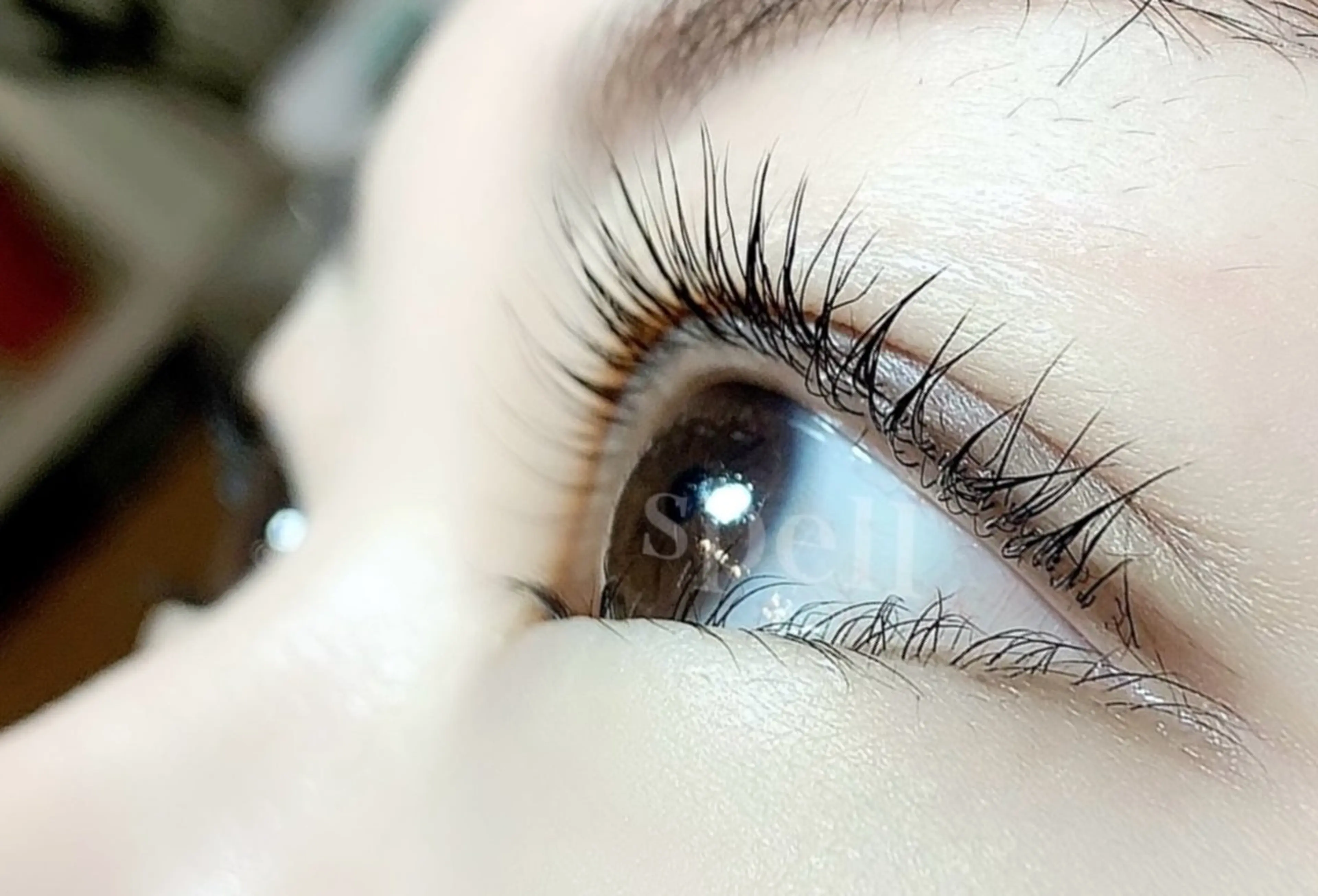 マツエク・マツパ spell_eyelash所属・spell eyelashのマツエク・マツパデザイン