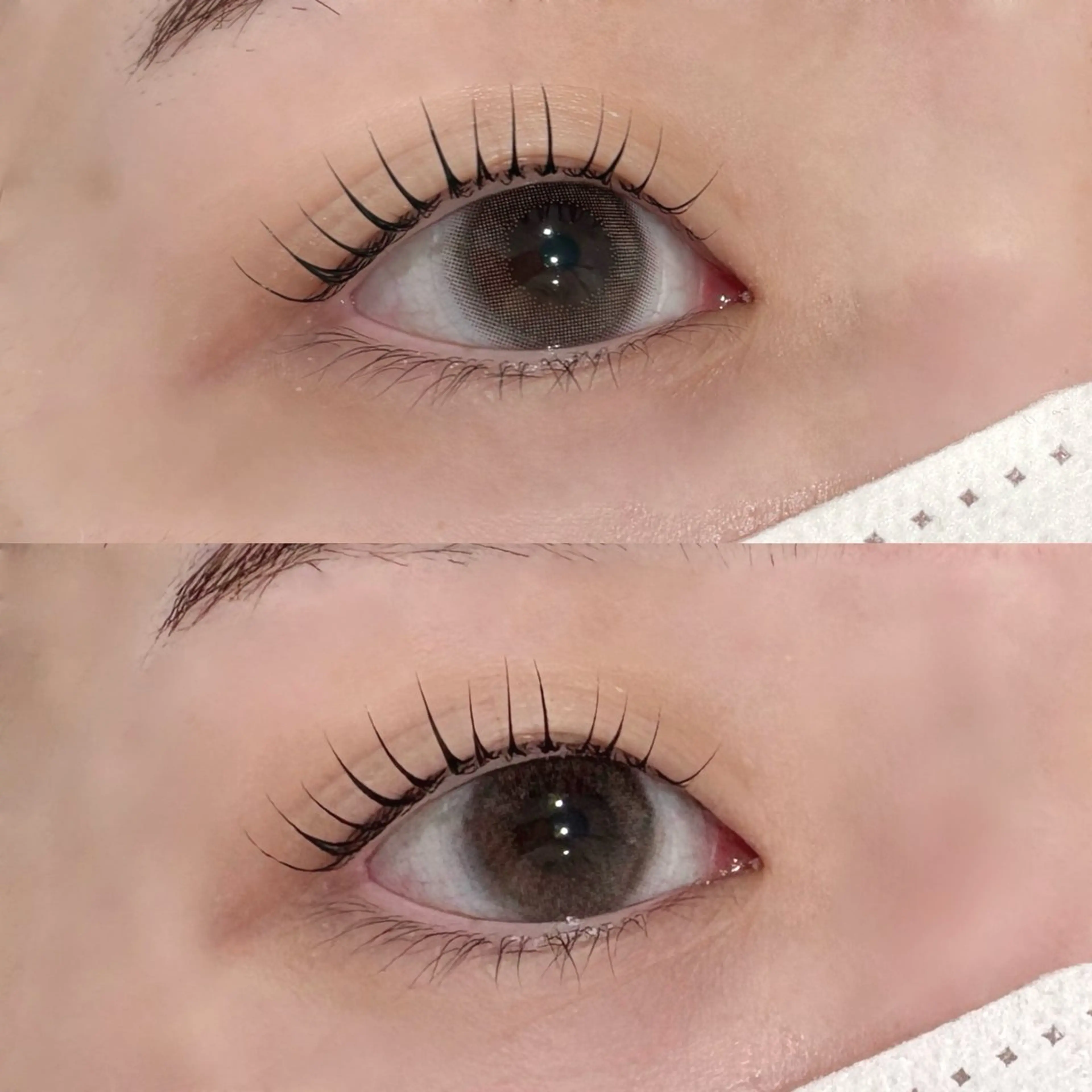 ⭐️韓国まつ毛パーマ⭐️(ピーナッツロッドorメーテルロッド)+コーティング仕上げ🍒の写真