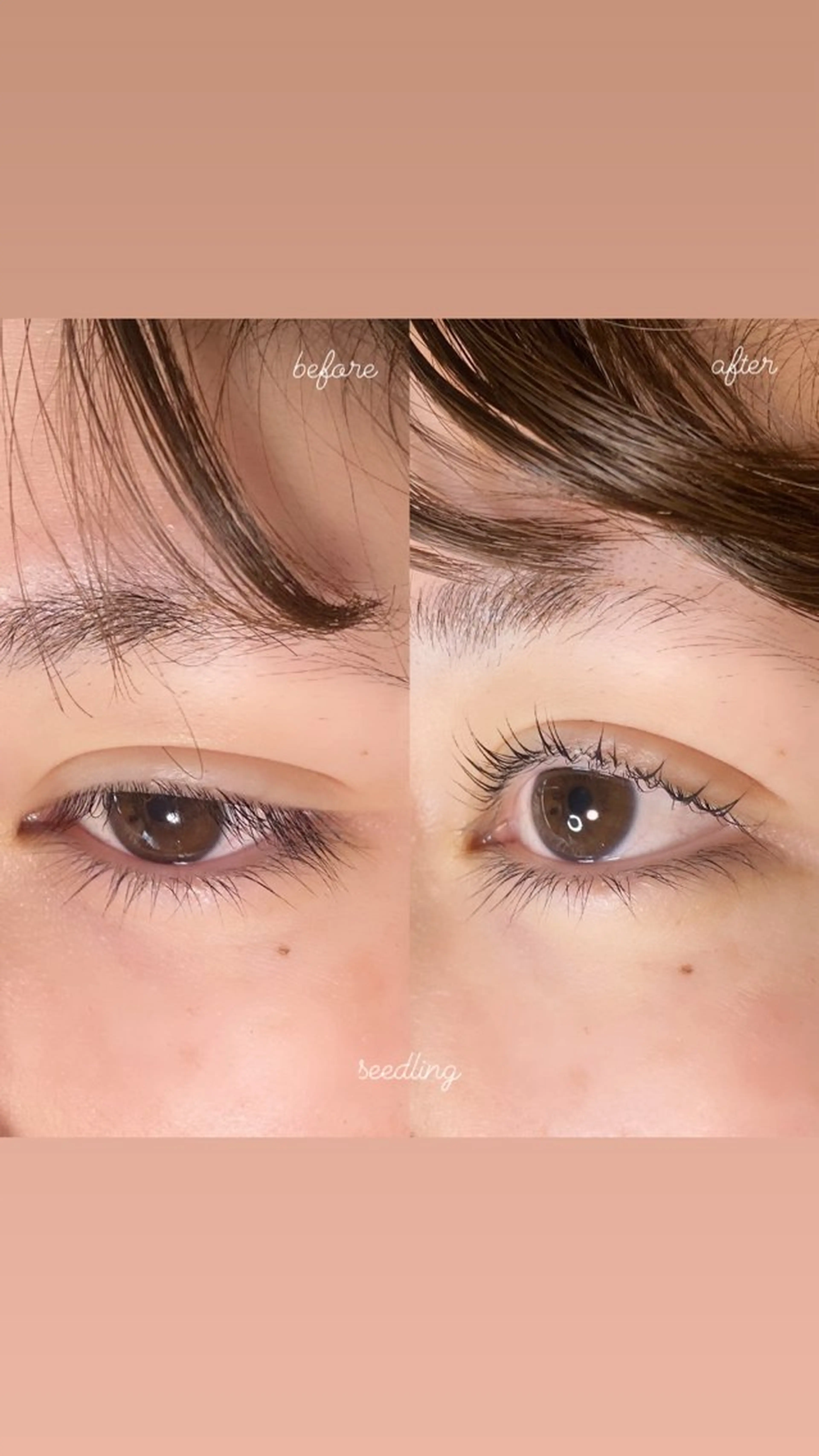 マツエク・マツパ マツパ シードリン 府内店 杉田のマツエク・マツパデザイン