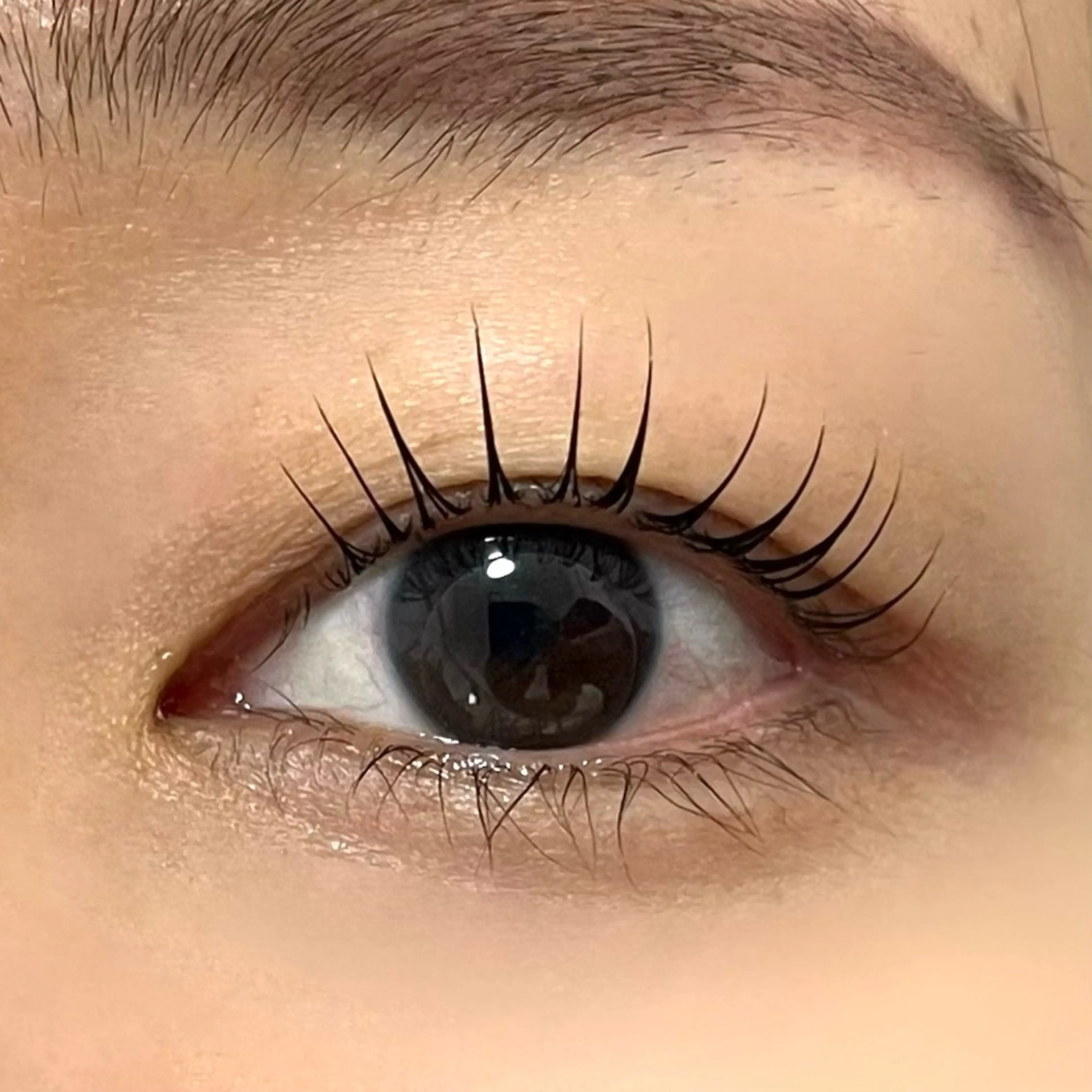 マツエク・マツパ AL SOLE (アル ソーレ)のマツエク・マツパデザイン