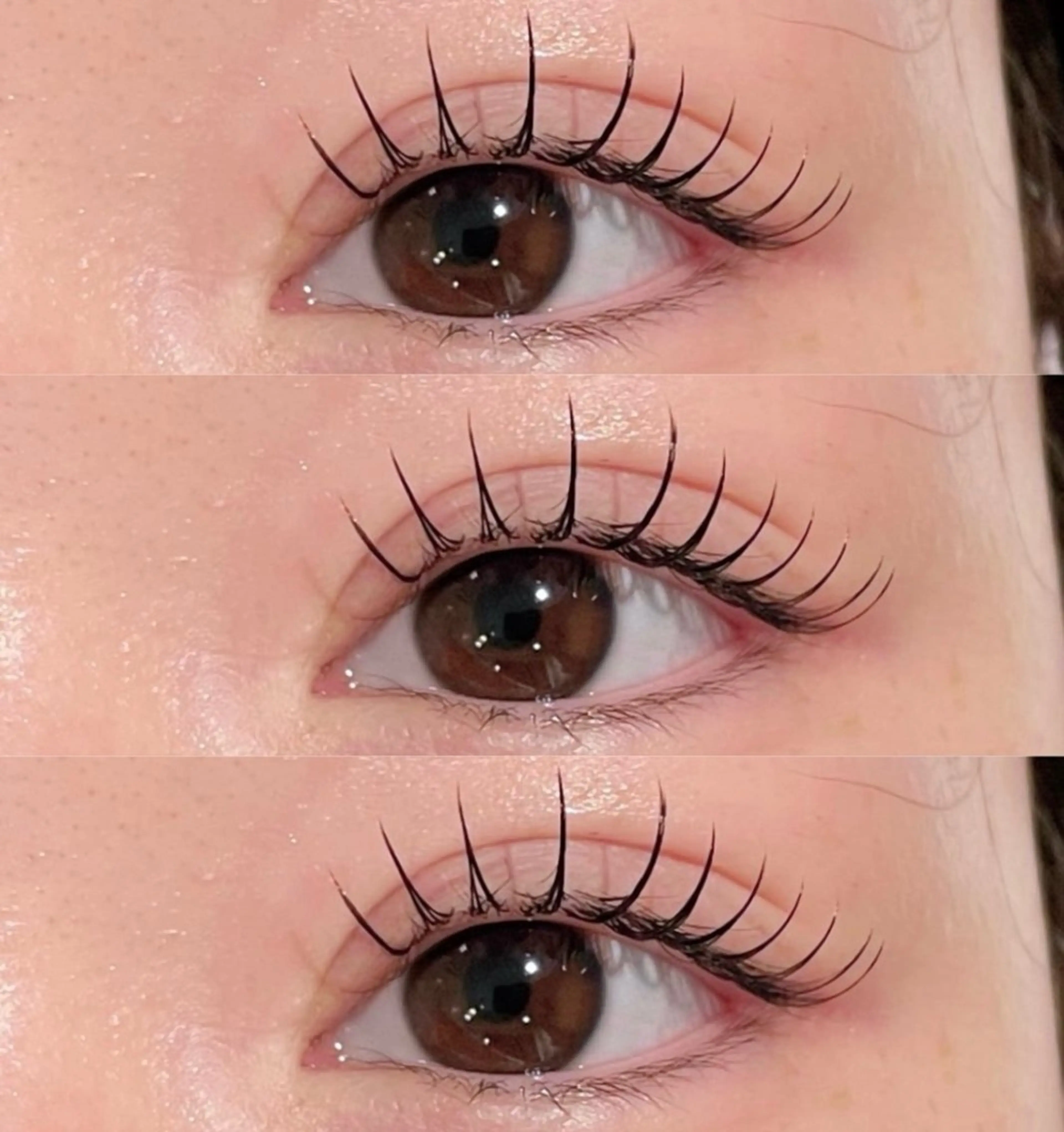 韓国より輸入🇰🇷【マスカラパーマ】SNS人気爆発🧸まつ毛パーマ×ブラックティント¥5500😊の写真