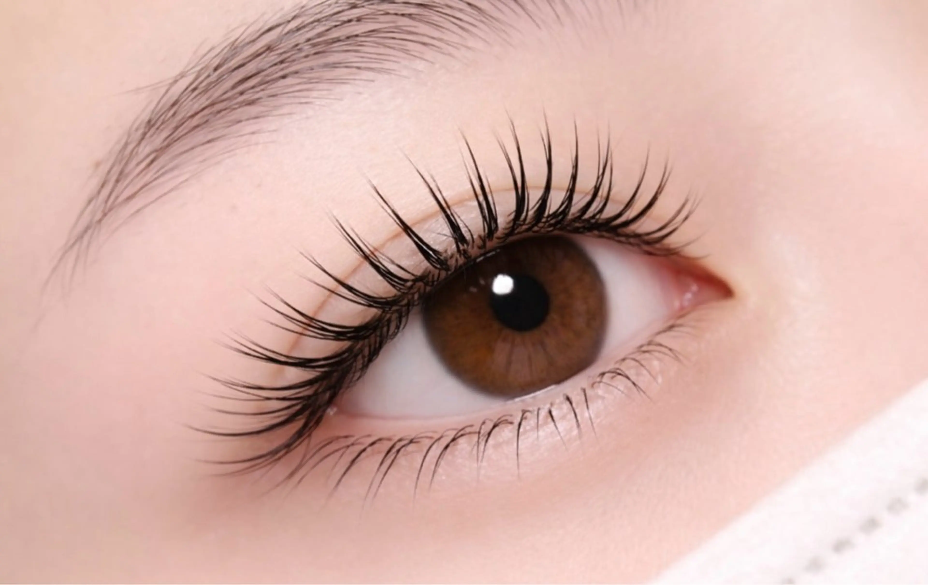 学生向け⭐︎根本から立ち上げパーマの写真