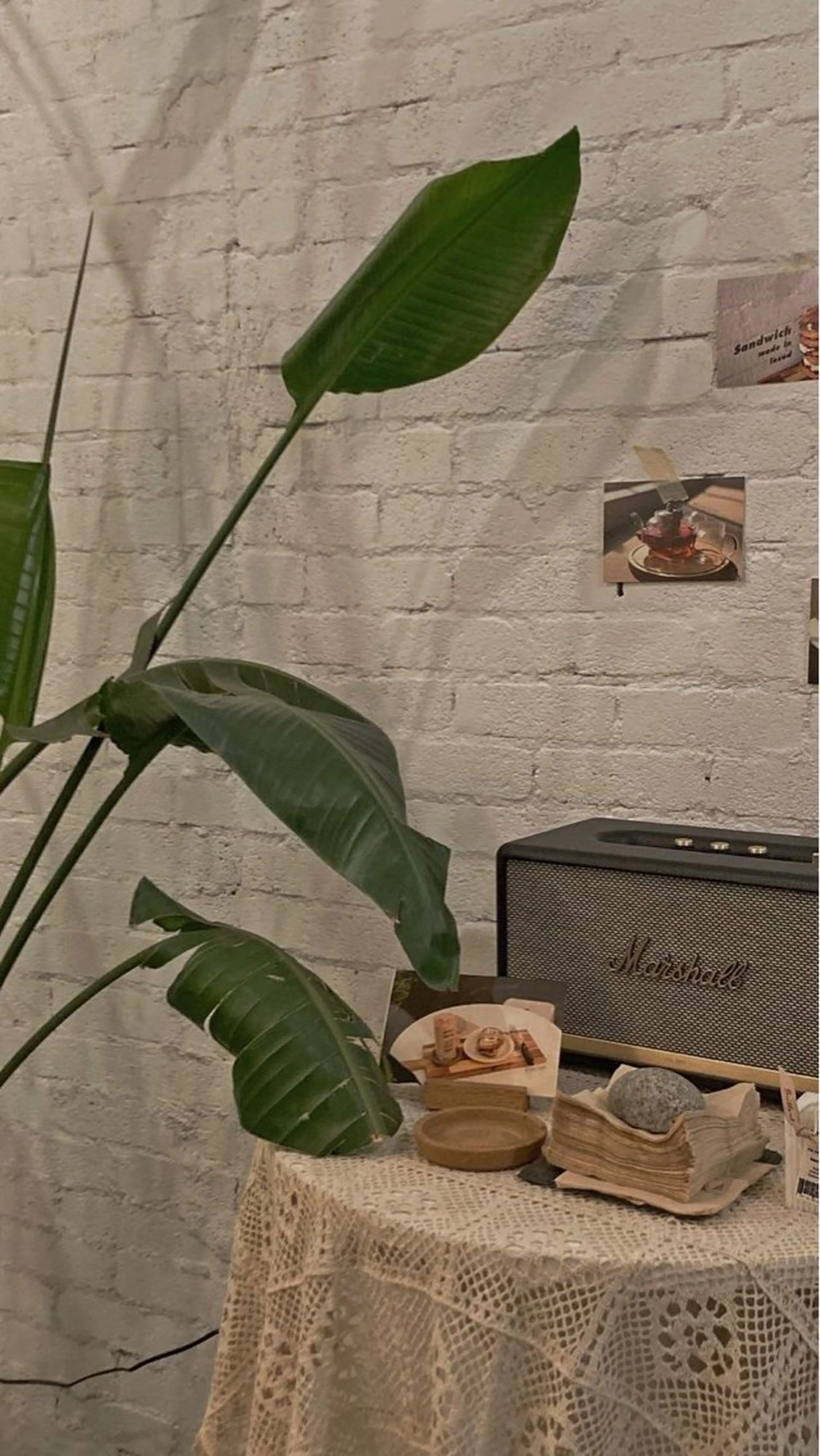 ∴Sanae. ∴ トータルビューティーのマツエク・マツパデザイン