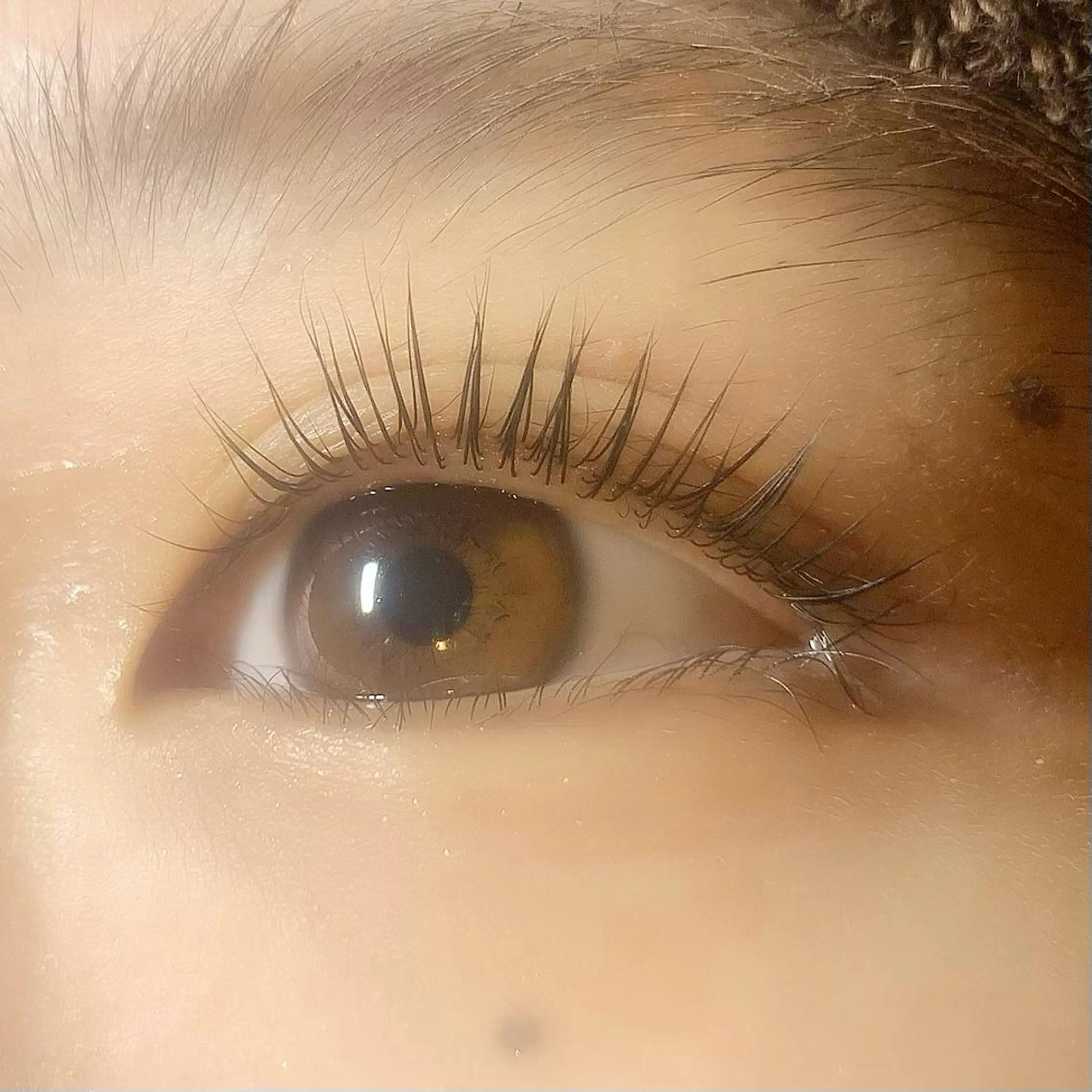 マツエク・マツパ パリジェンヌラッシュリフト 🧸Celeste Venusのマツエク・マツパデザイン