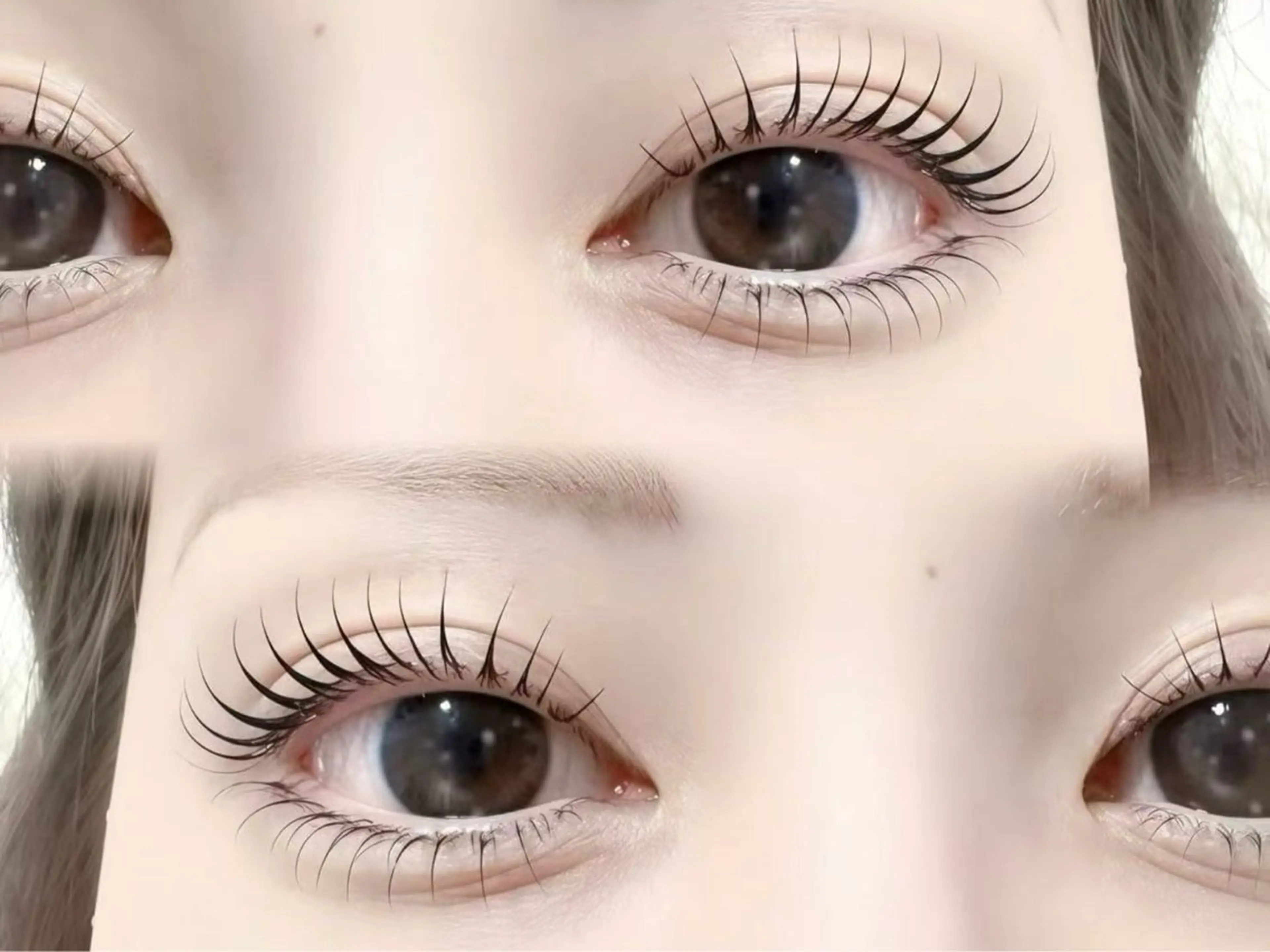 マツエク・マツパ 大人気🌸ran L ED専門店/パリエクのマツエク・マツパデザイン