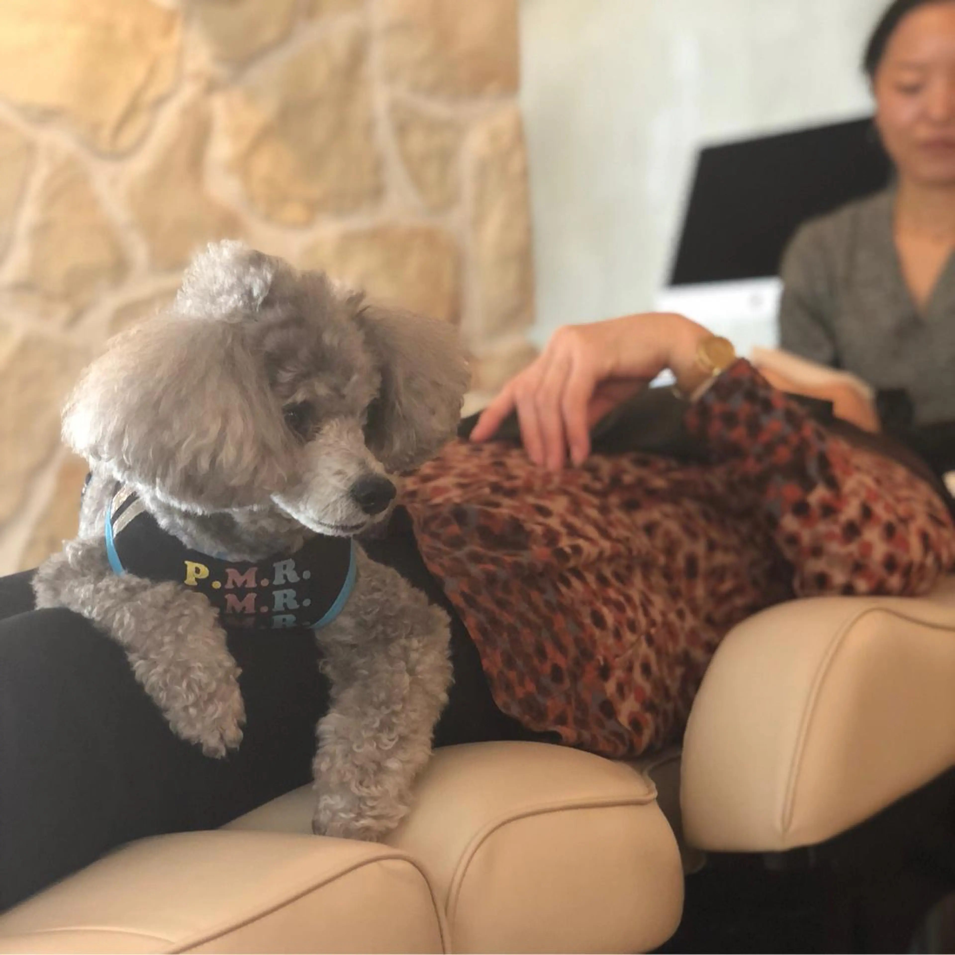 lasPAVILION-ラスパビリオン-所属・las PAVILIONのヘアスタイル