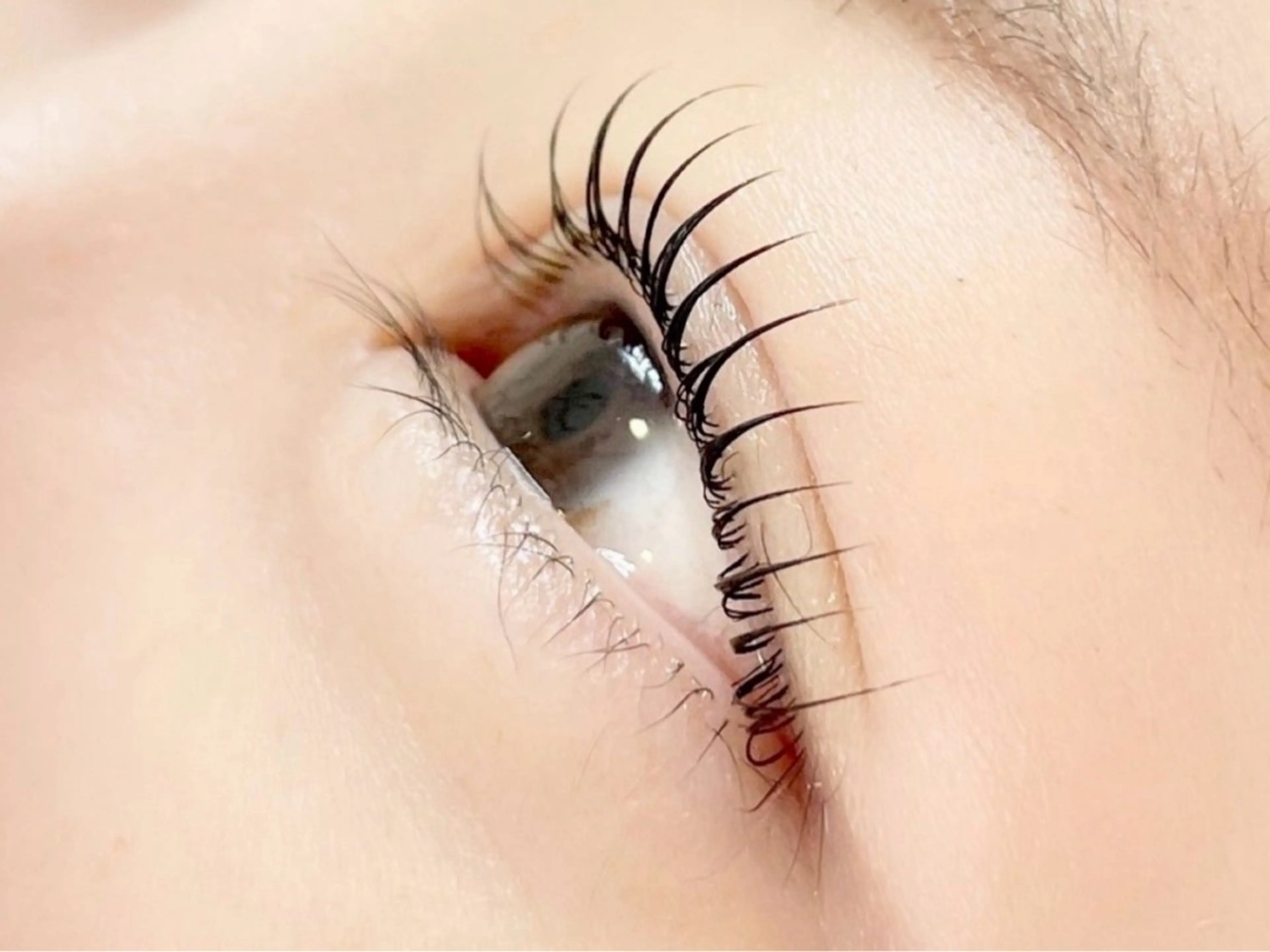 マツエク・マツパ bloom lash なのはのマツエク・マツパデザイン