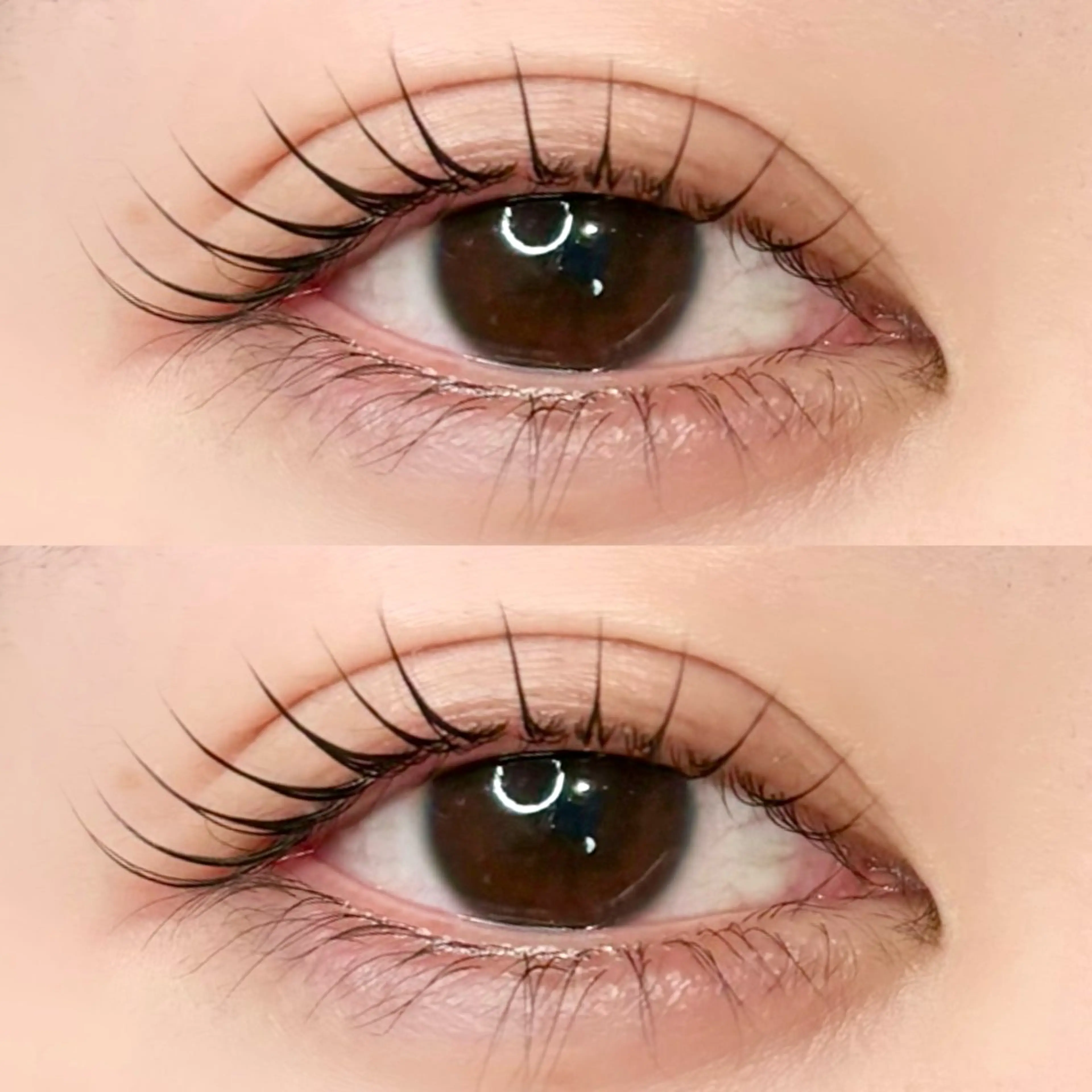 マツエク・マツパ マツパ LeCoeur 喜多町店　板垣のマツエク・マツパデザイン