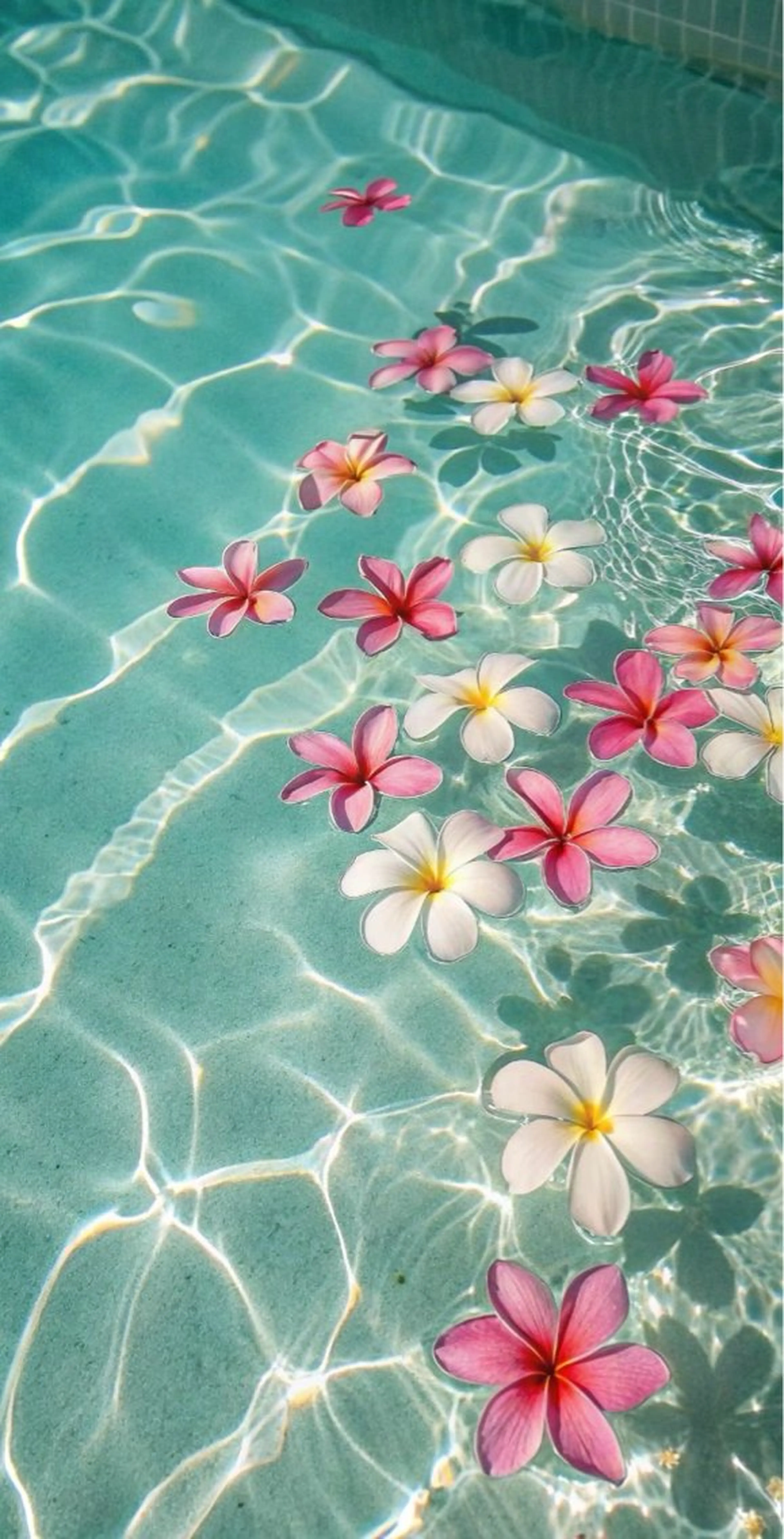 ネイル asuka 🐰のネイルデザイン