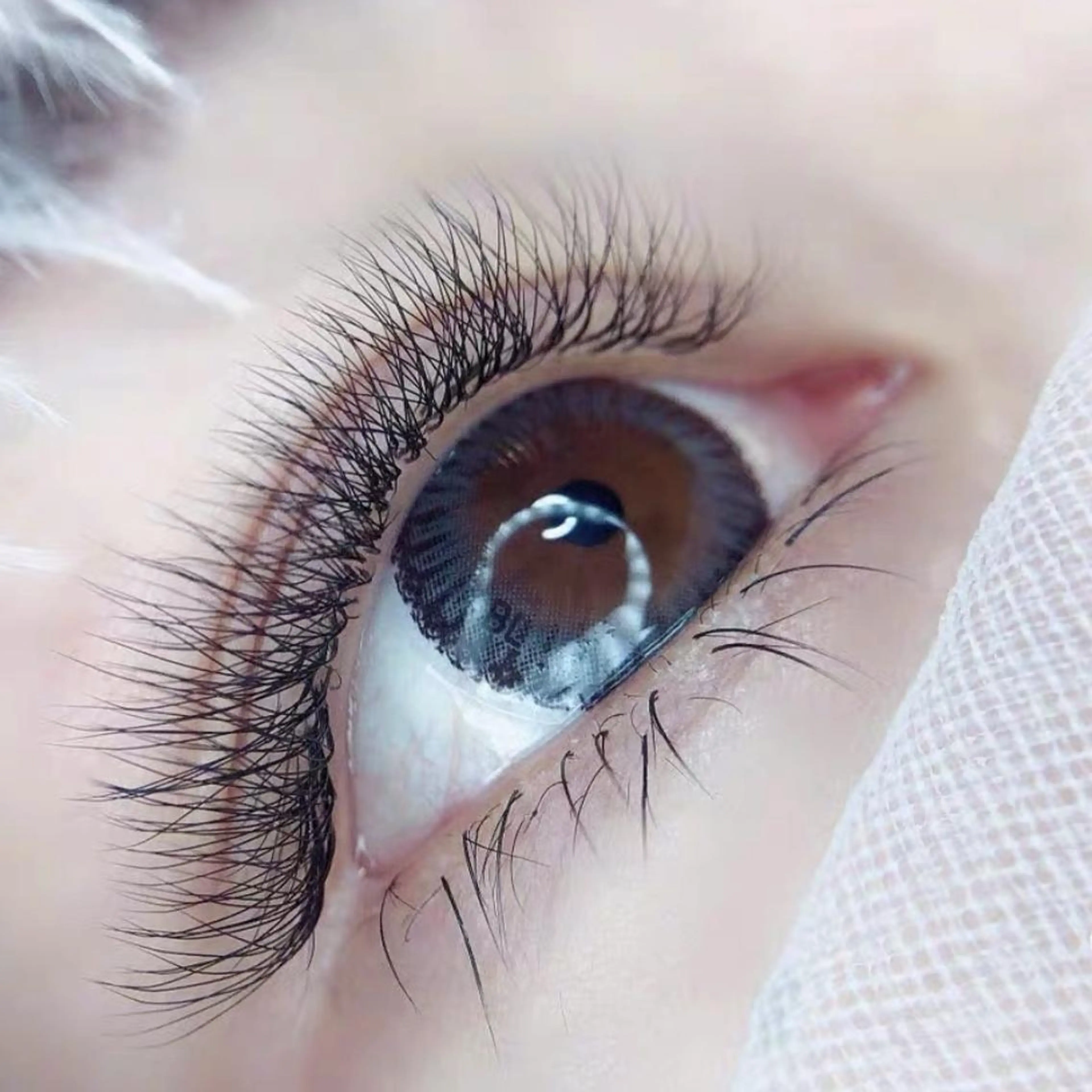 マツエク・マツパ Cute B e au t yのマツエク・マツパデザイン