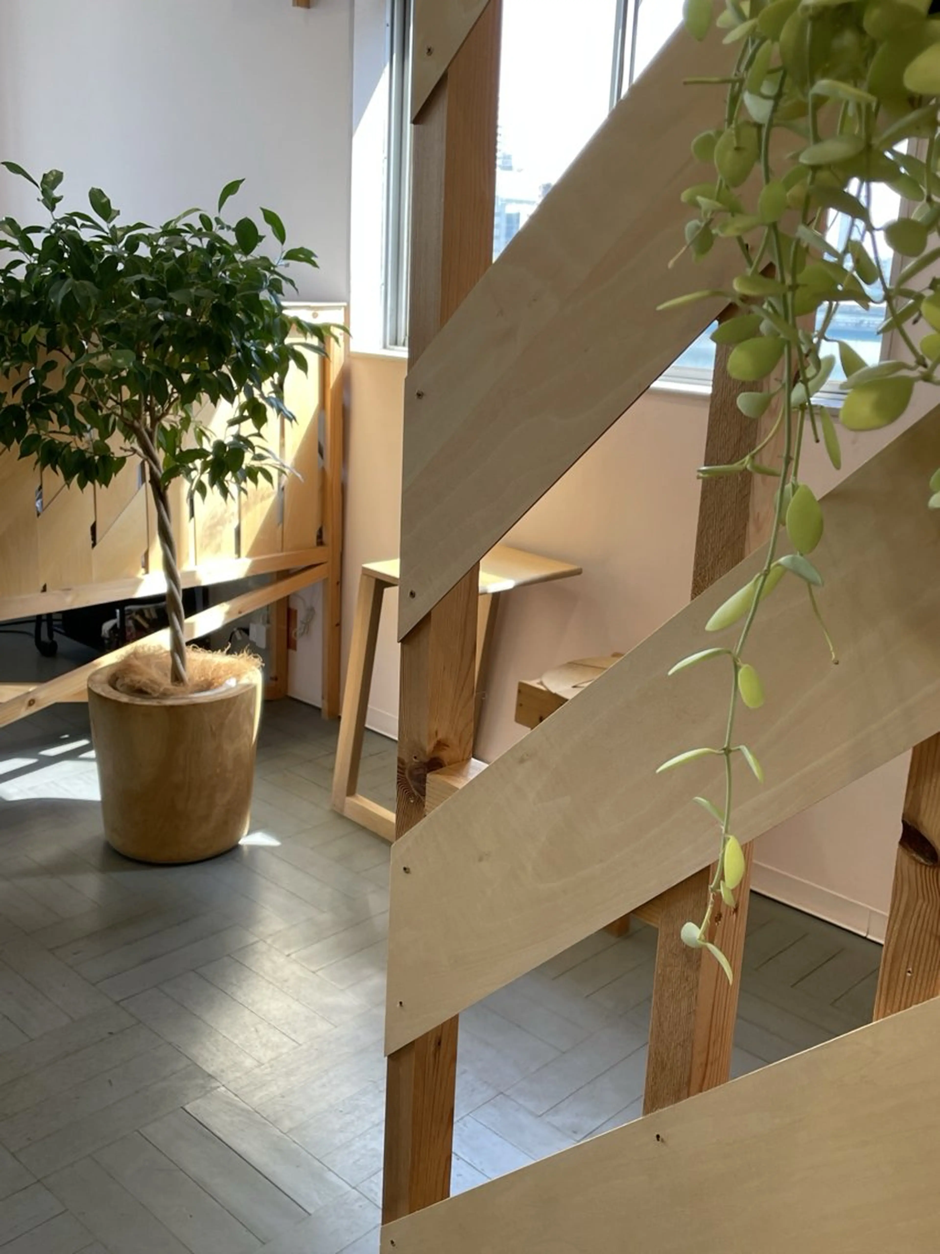 アイブロウ piha MOEKOのマツエク・マツパデザイン