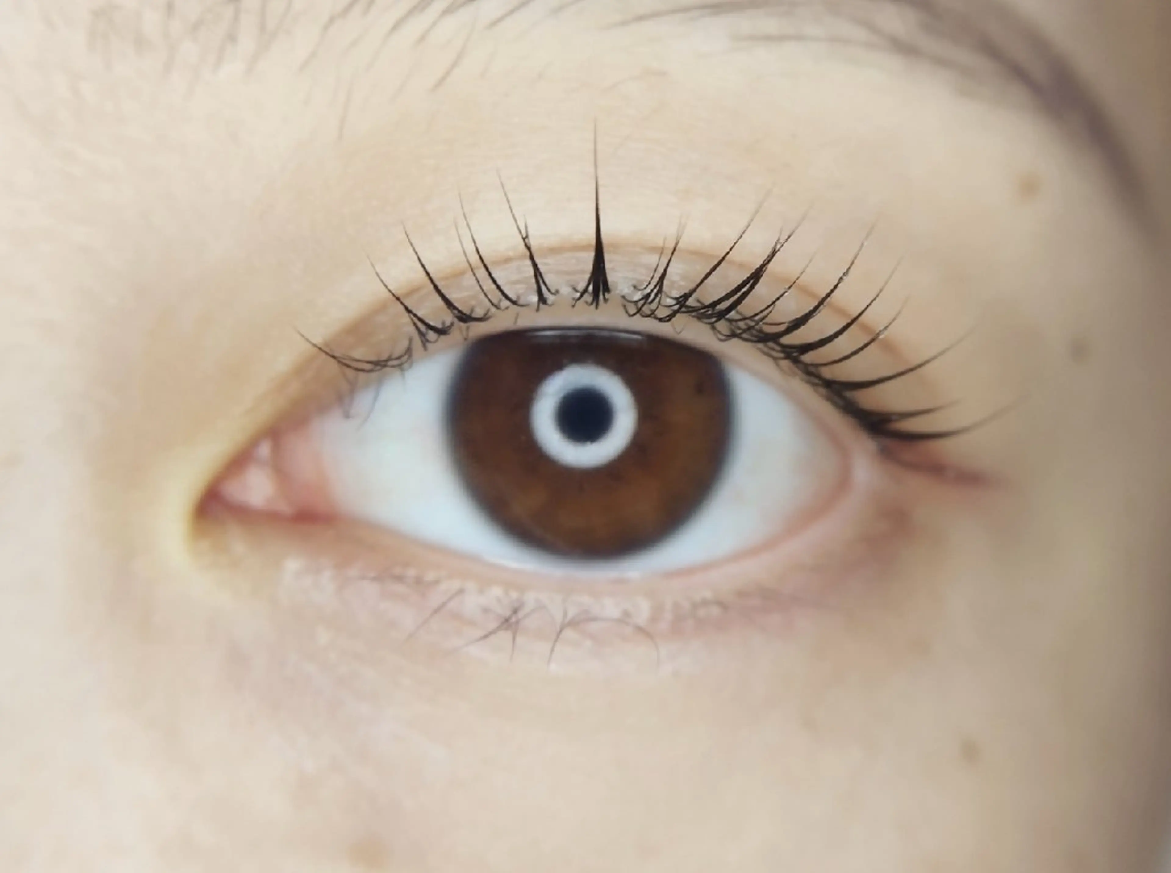 マツエク・マツパ ☀️ゆ リアンのマツエク・マツパデザイン