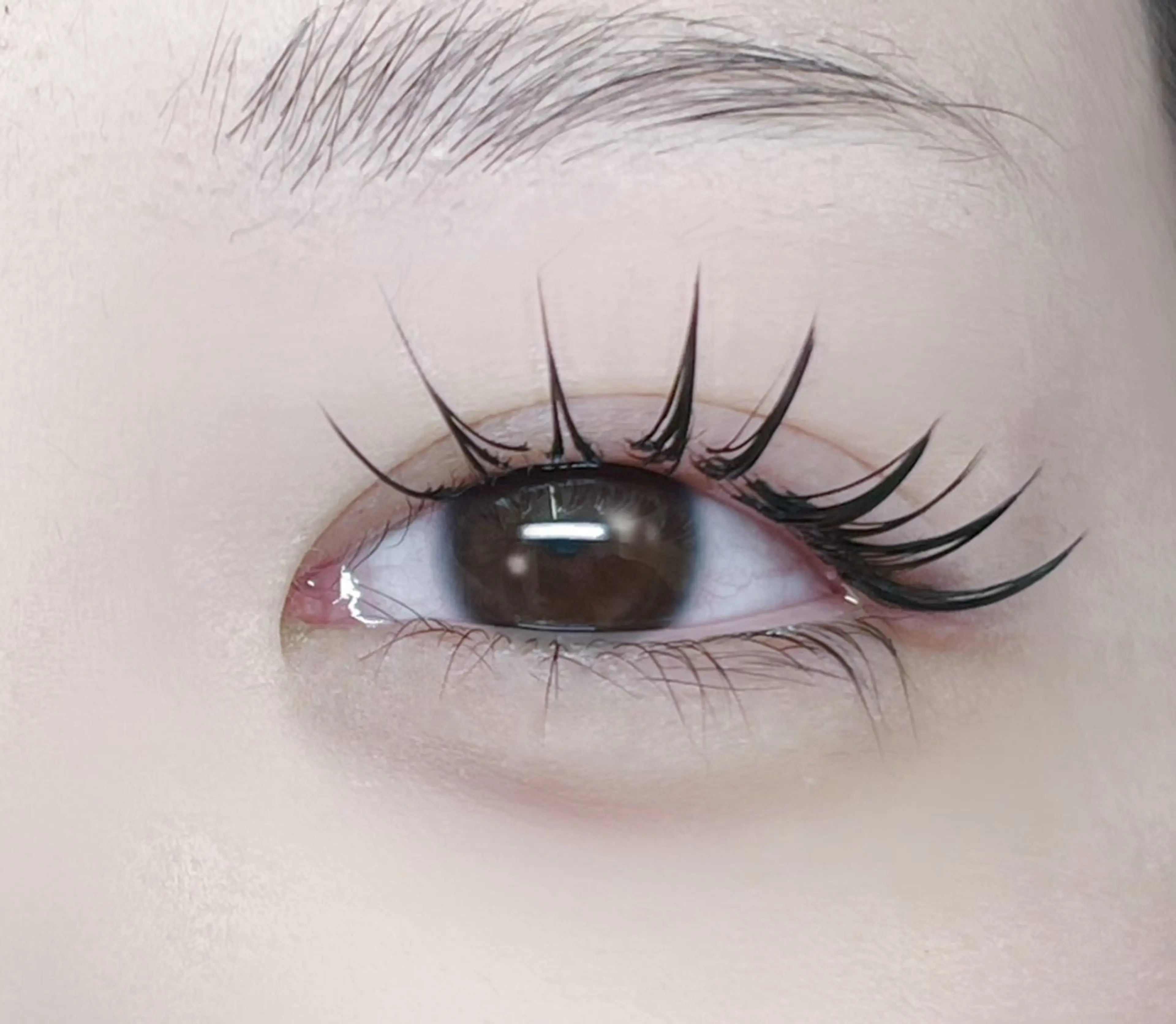 マツエク・マツパ Moe🤍Moon Doll Eyeのマツエク・マツパデザイン