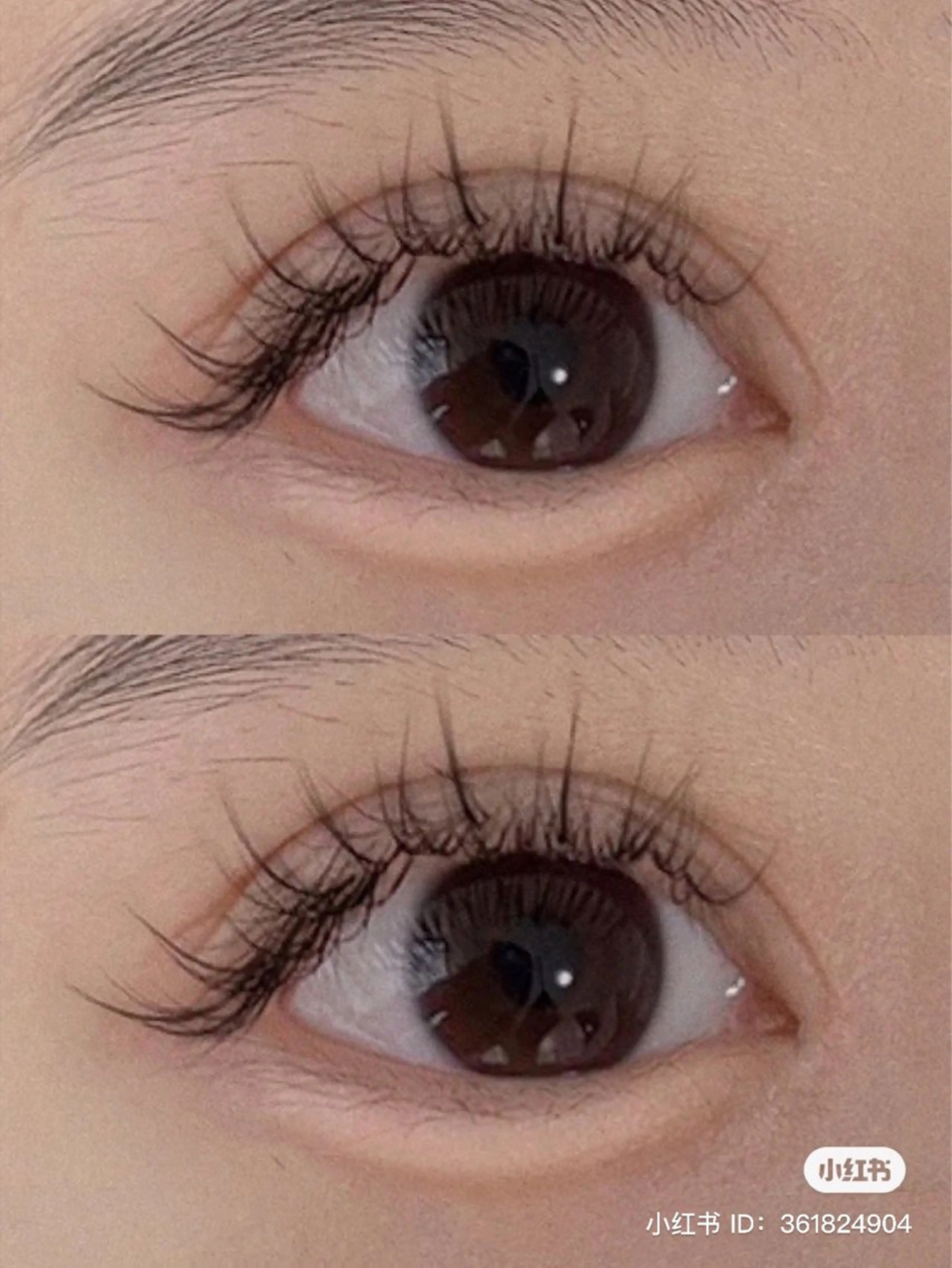 マツエク・マツパ マツエク eyelist 👩🏼の眉毛・アイブロウイメージ