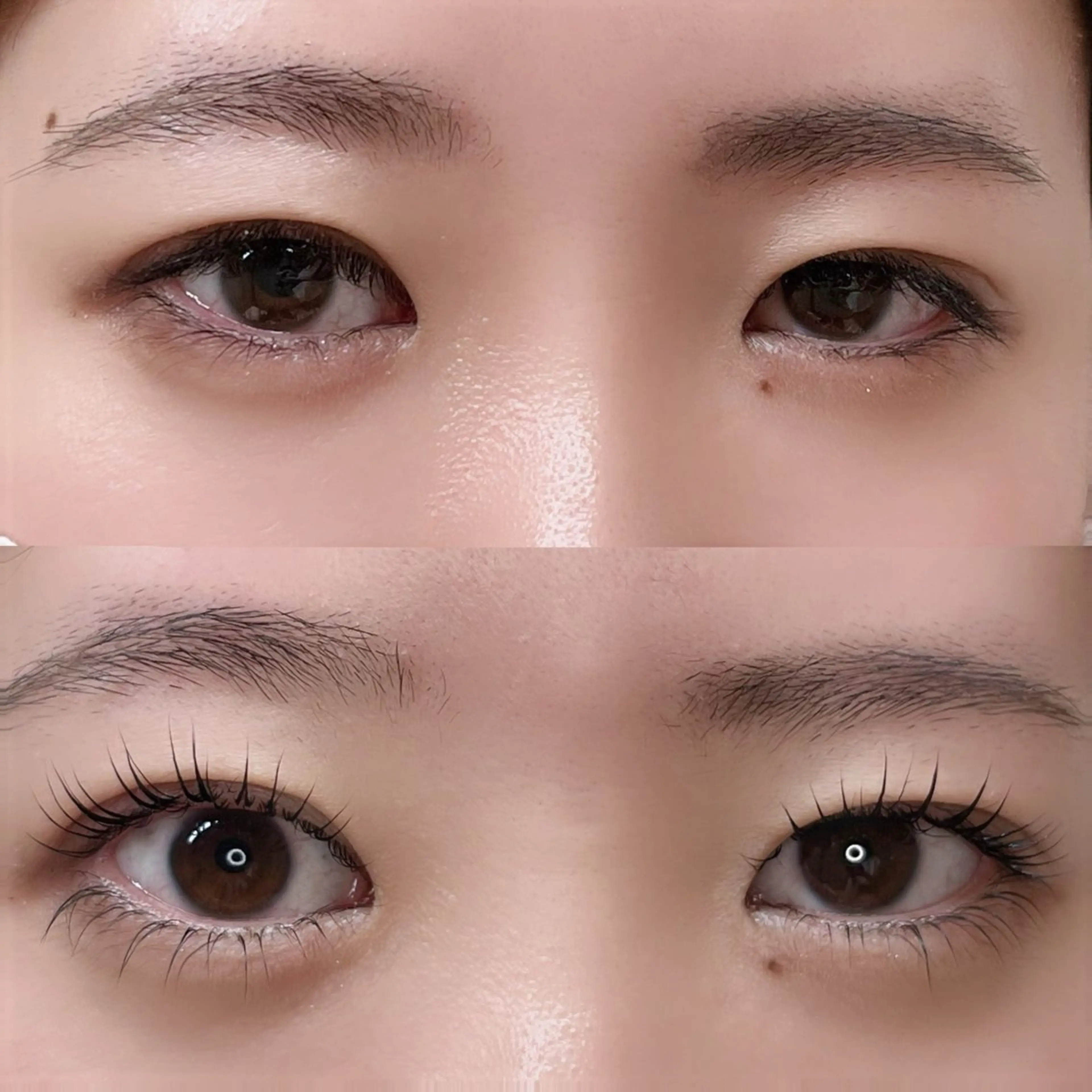 【平日限定】上下立ち上げパーマ💕の写真