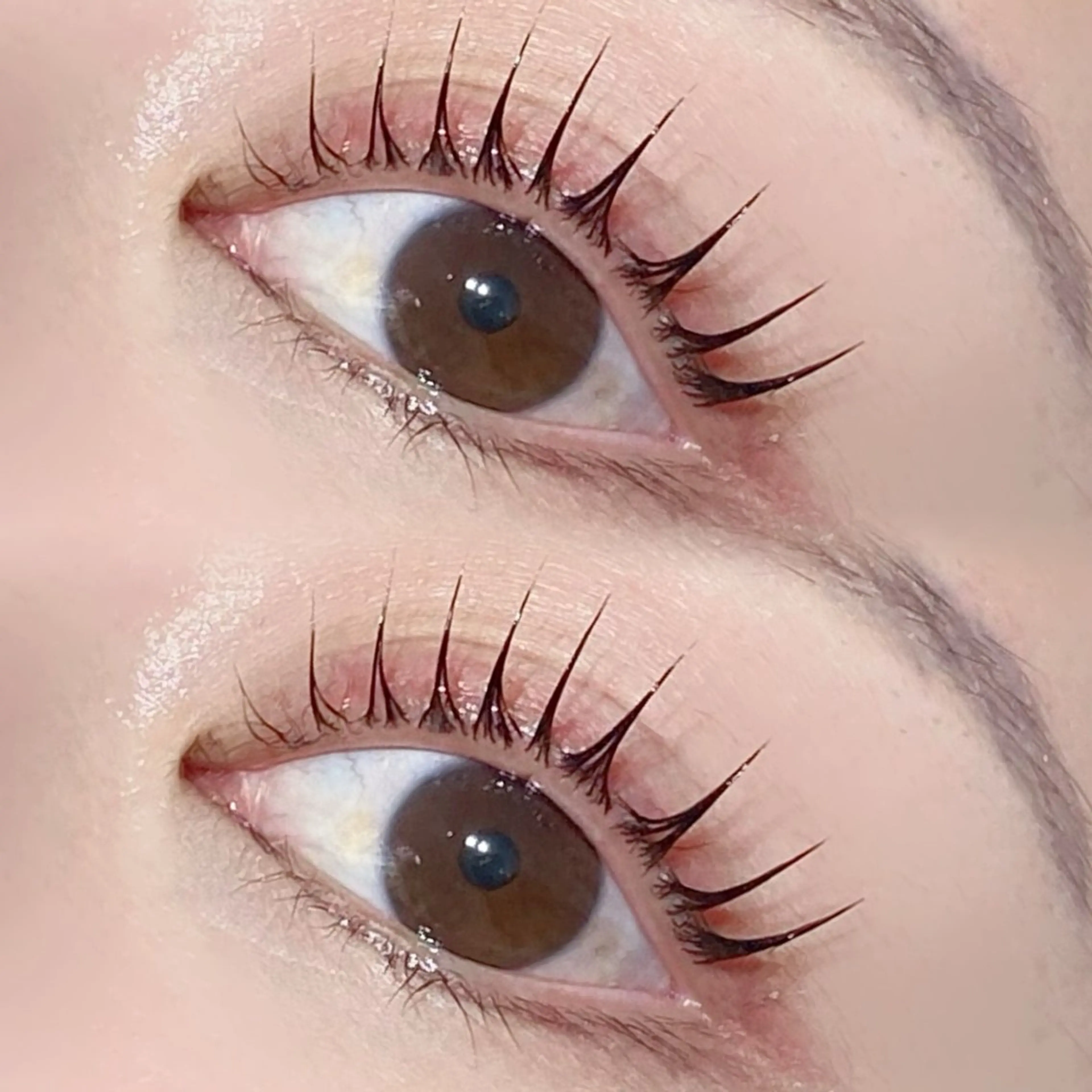 🌸ピックアップメニュー︎🌸パリジェンヌラッシュリフト/ラッシュリフト 選択可能🙆💓‪の写真