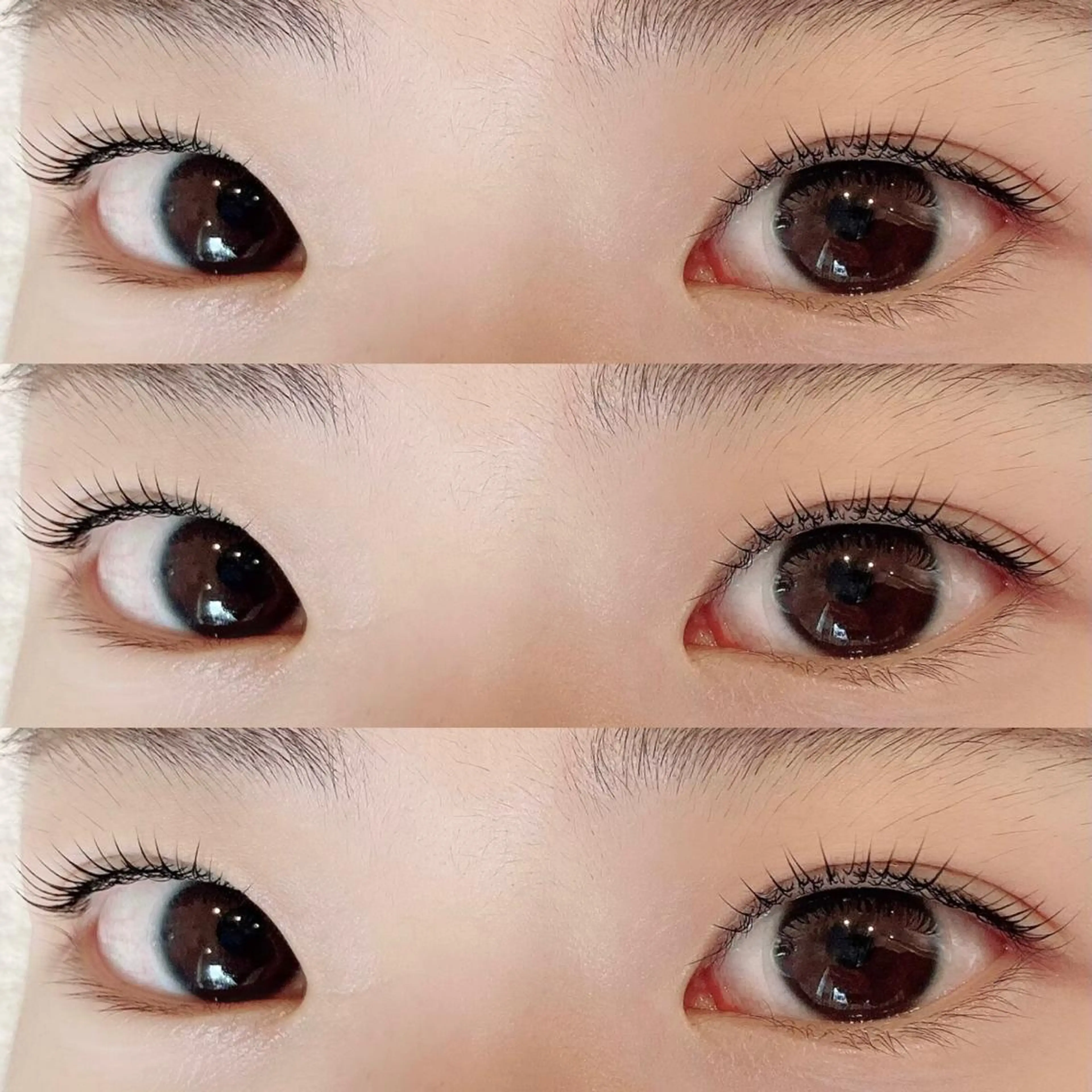 マツエク・マツパ マツパ 束感/LED/まつパ 🌼segawaのマツエク・マツパデザイン