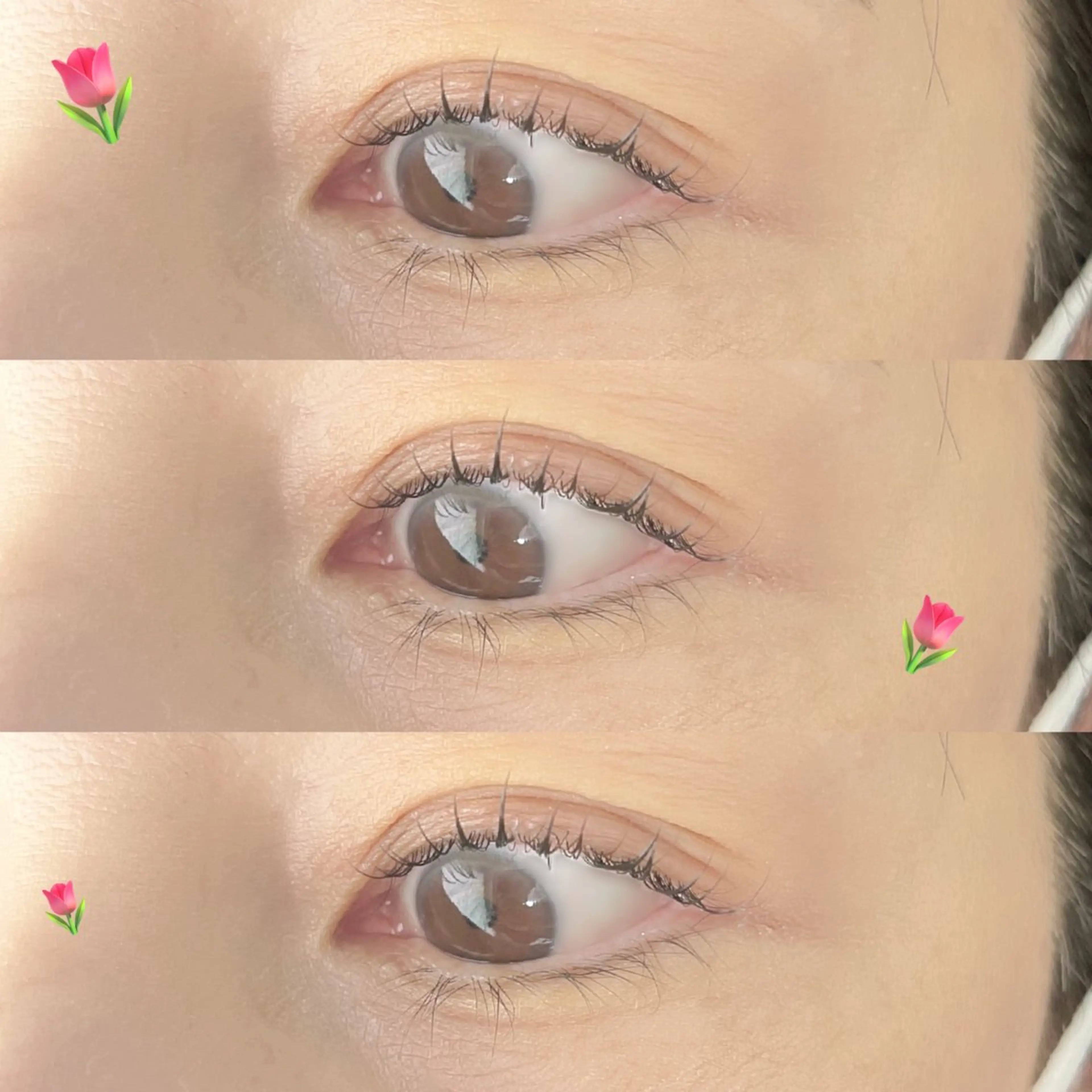 マツエク・マツパ 🐰駅から徒歩5分 当日予約◎下妻🫧のマツエク・マツパデザイン