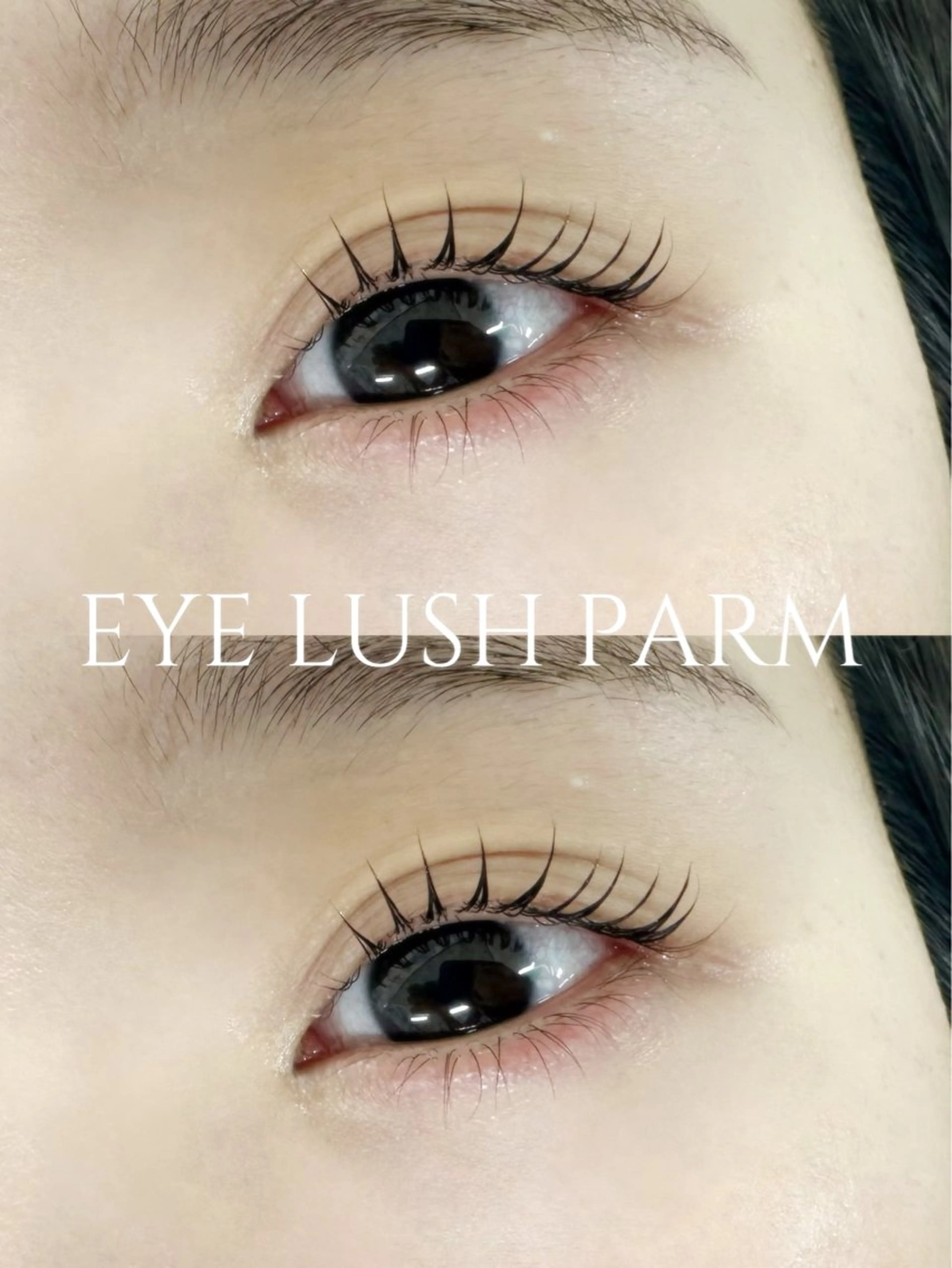 マツエク・マツパ 恵比寿アイリスト 🌴小野🦥のマツエク・マツパデザイン