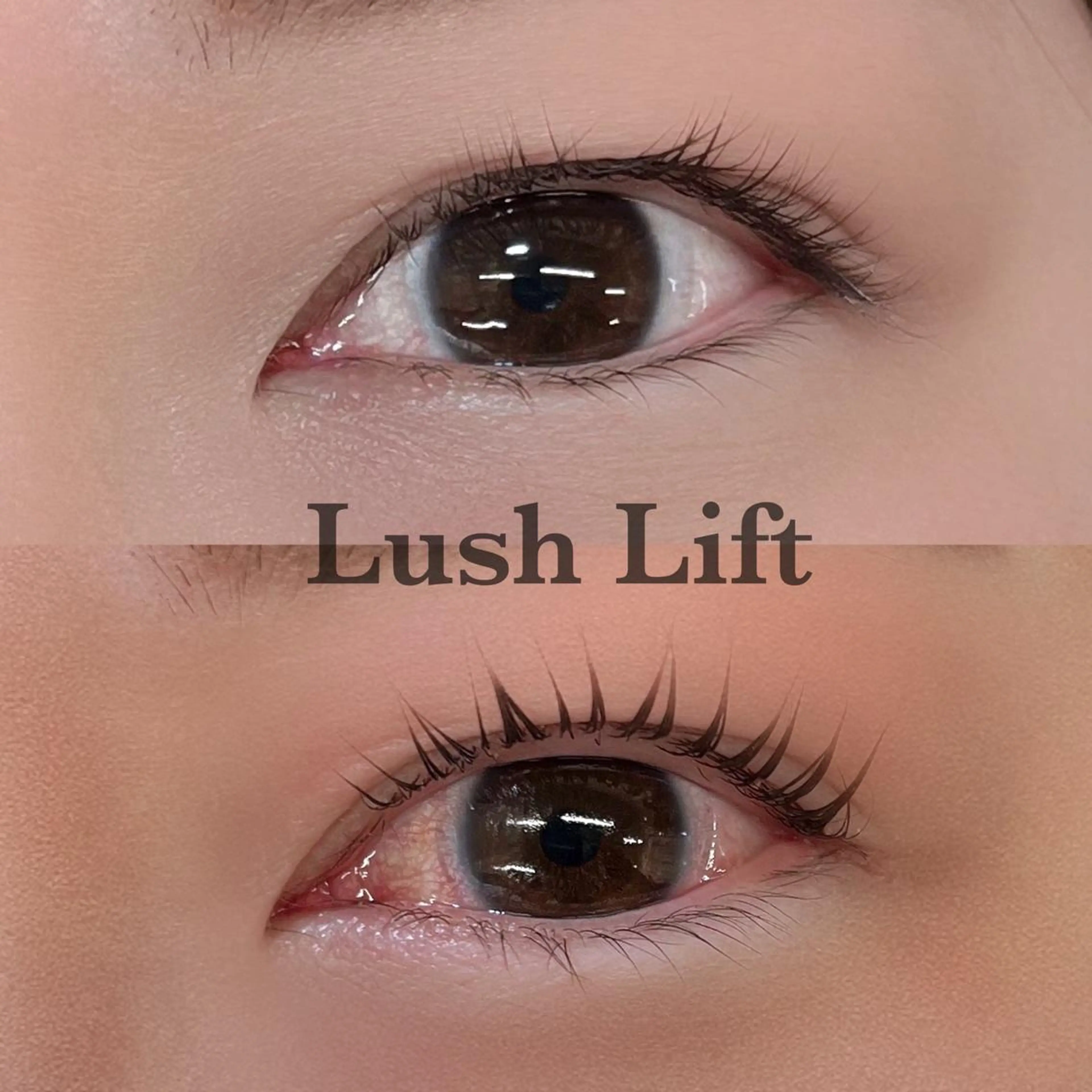 マツエク・マツパ eyelist noaのマツエク・マツパデザイン