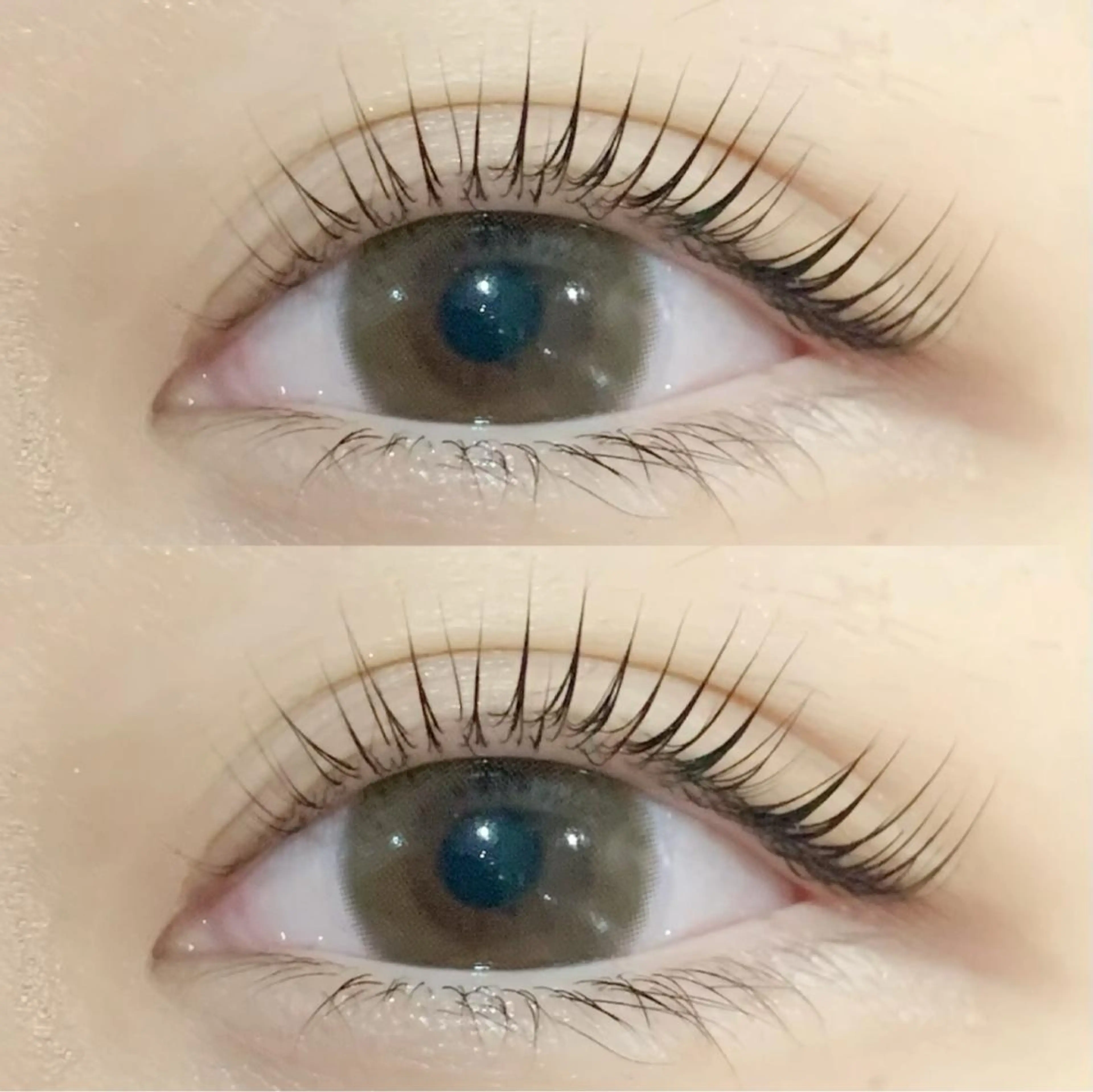 パリジェンヌラッシュリフト《エクステオフの有無をお知らせください》の写真